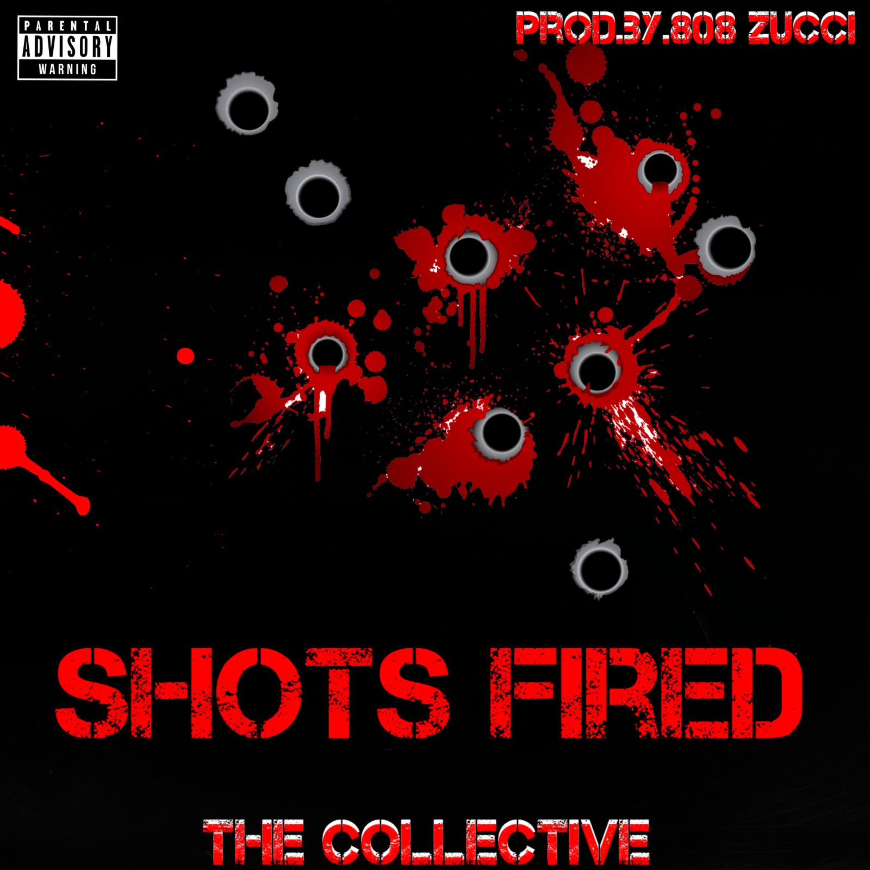 Shots Fired artwork