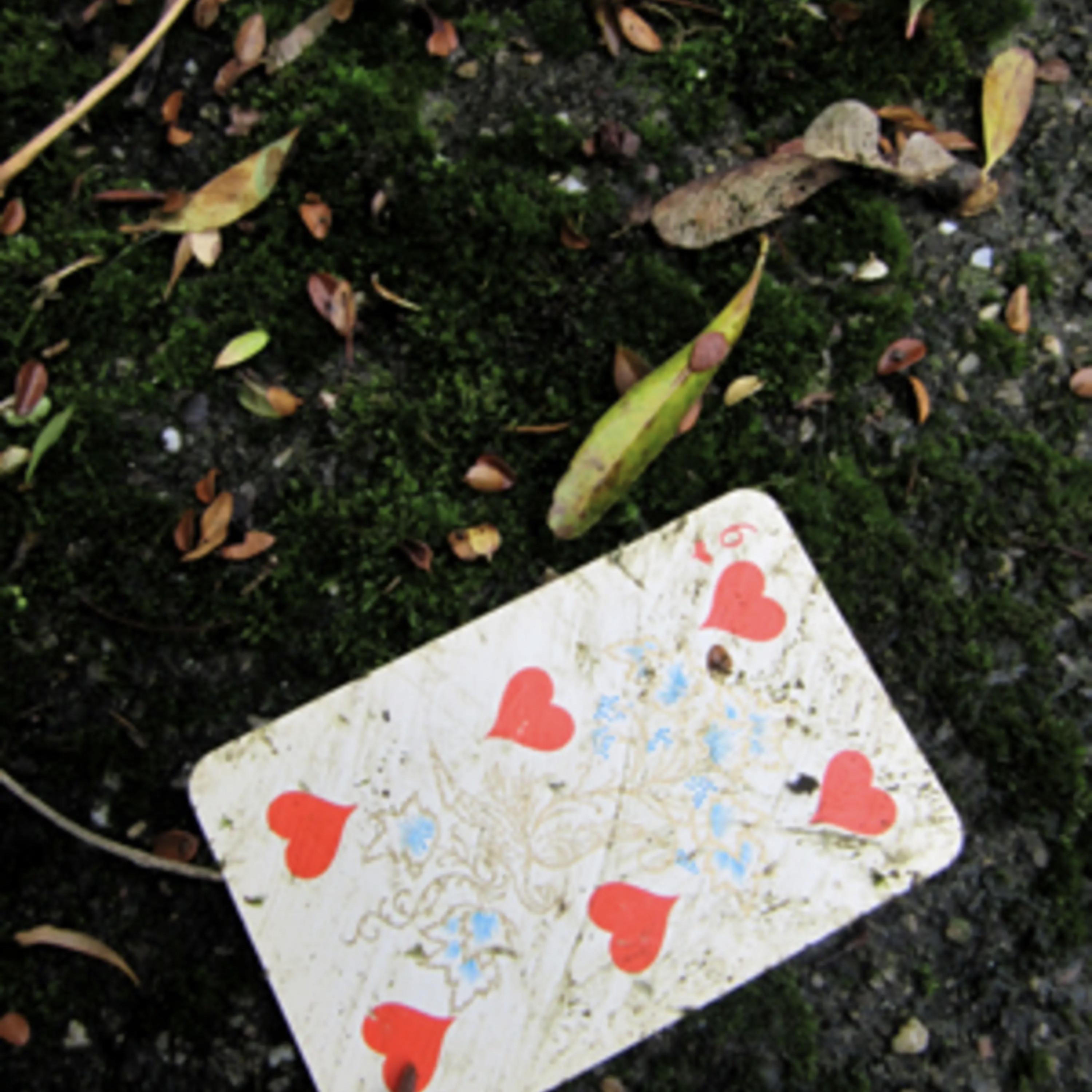 House Of Cards artwork
