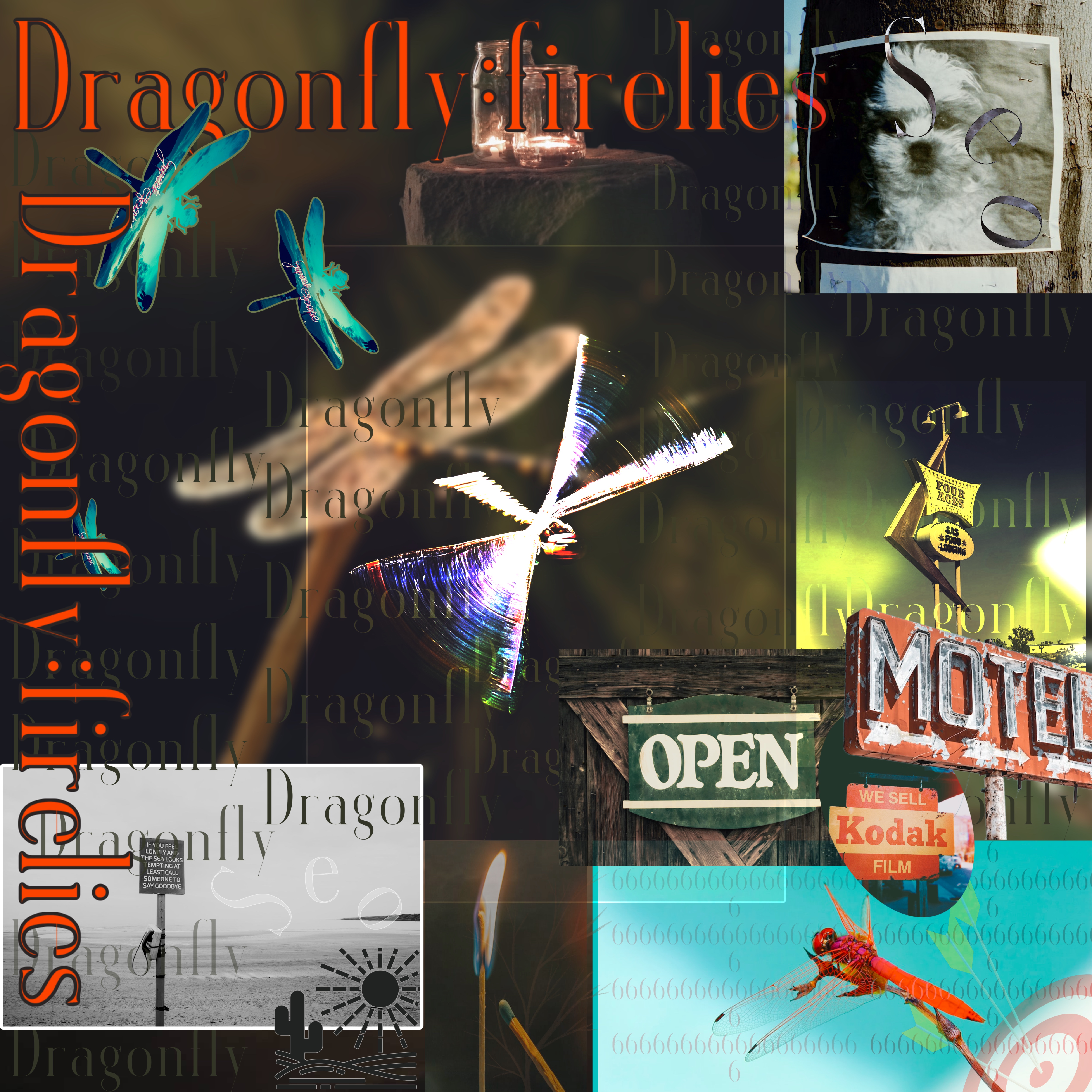 Dragonfly:firelies artwork