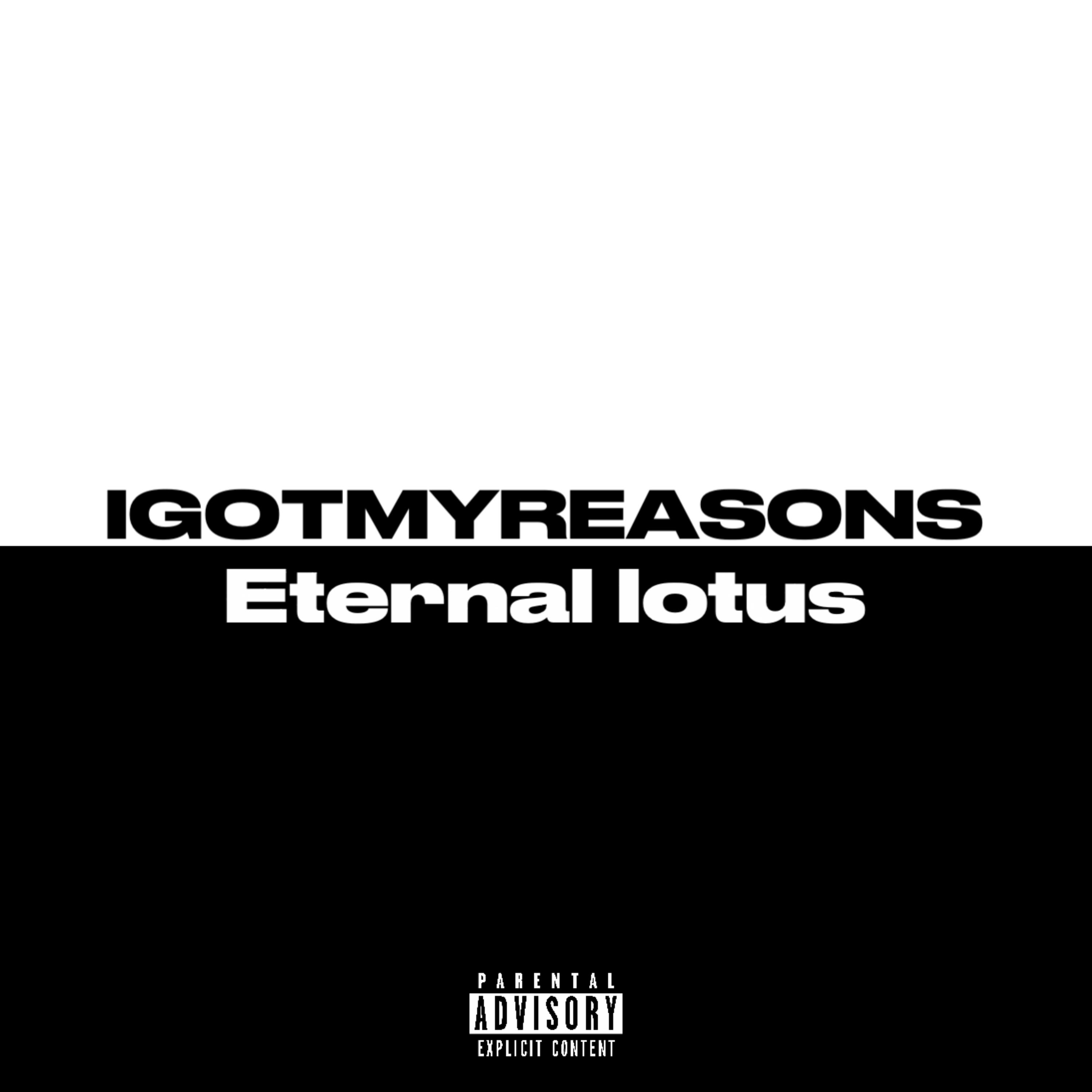 Igotmyreasons artwork