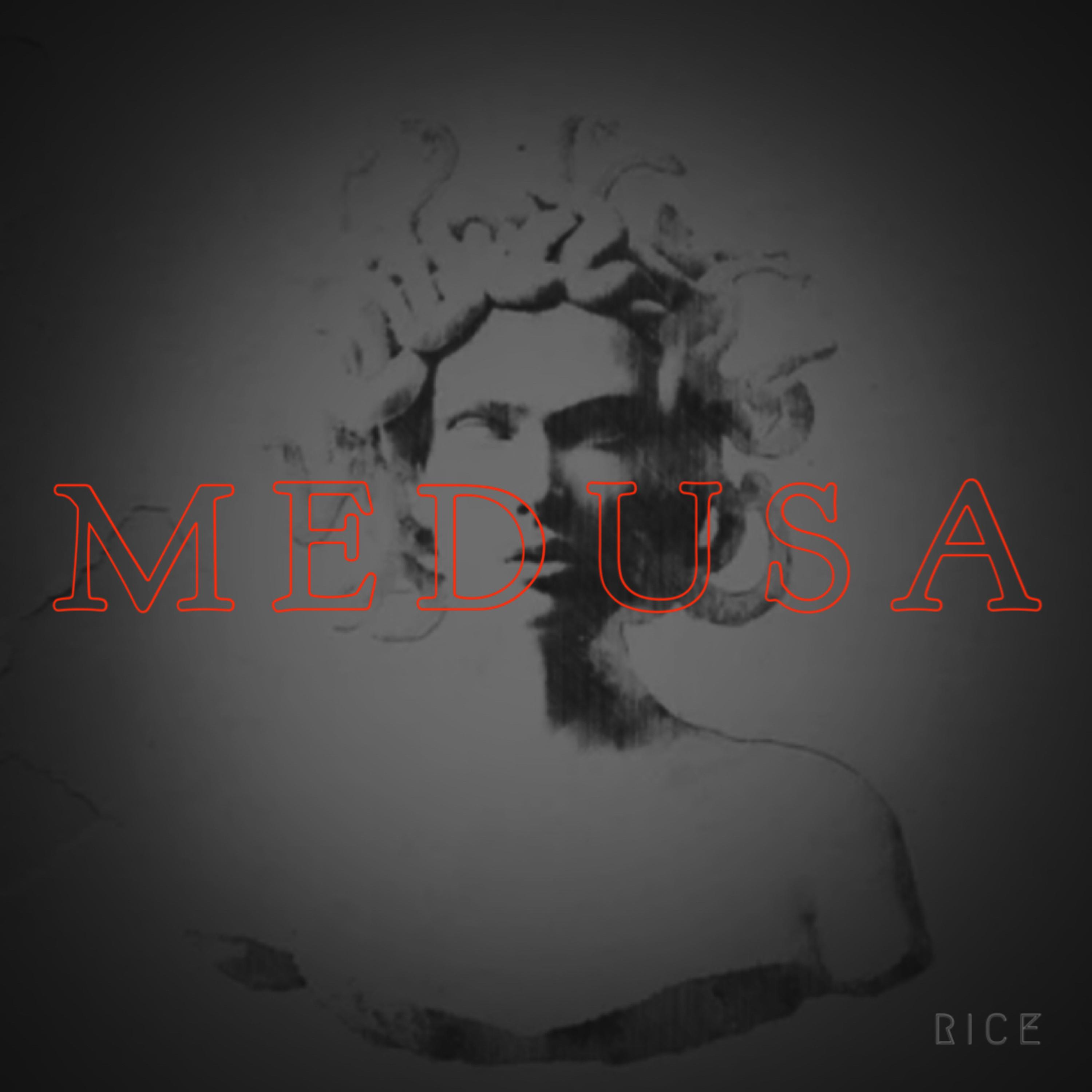 Medusa artwork