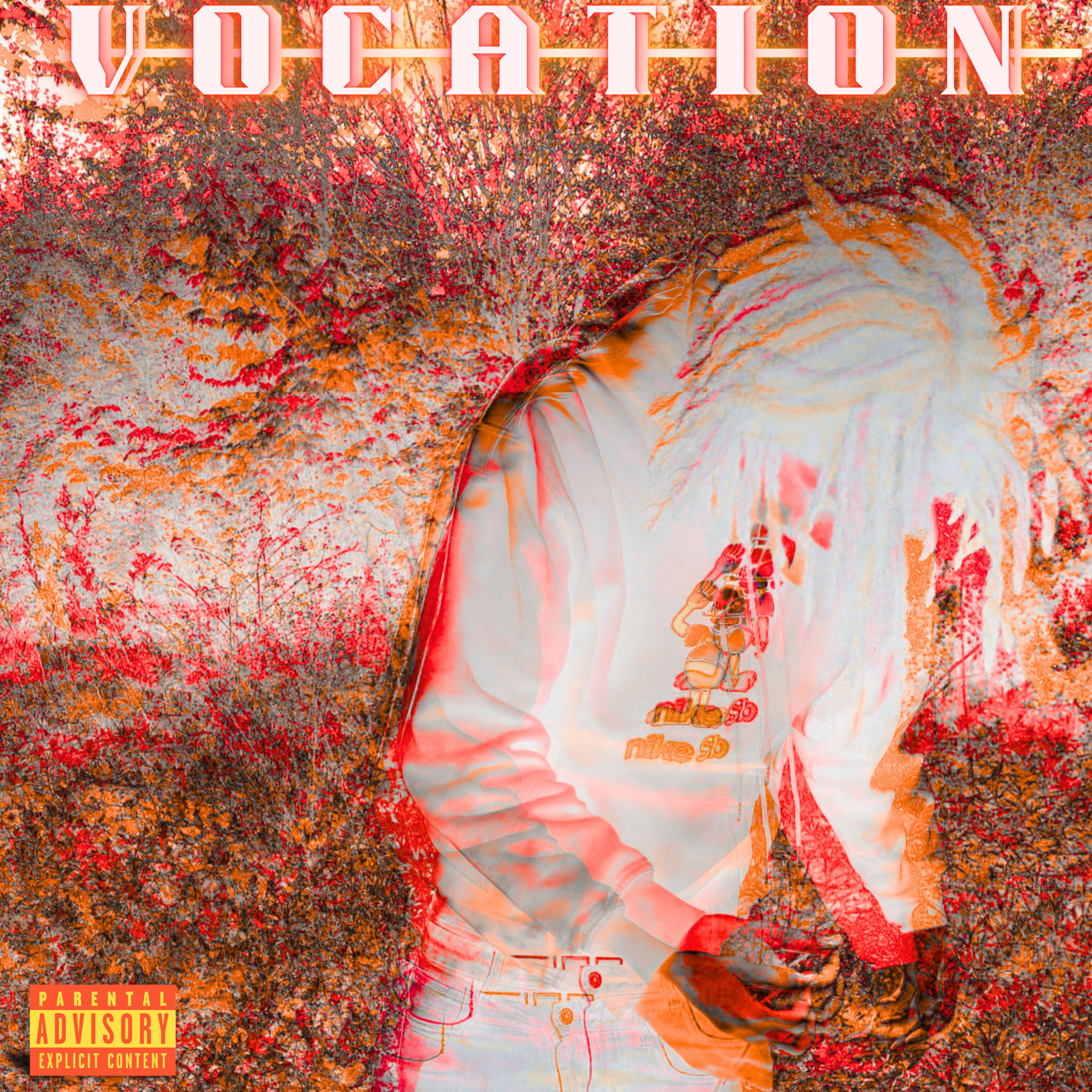 VOCATION by leedough cover art