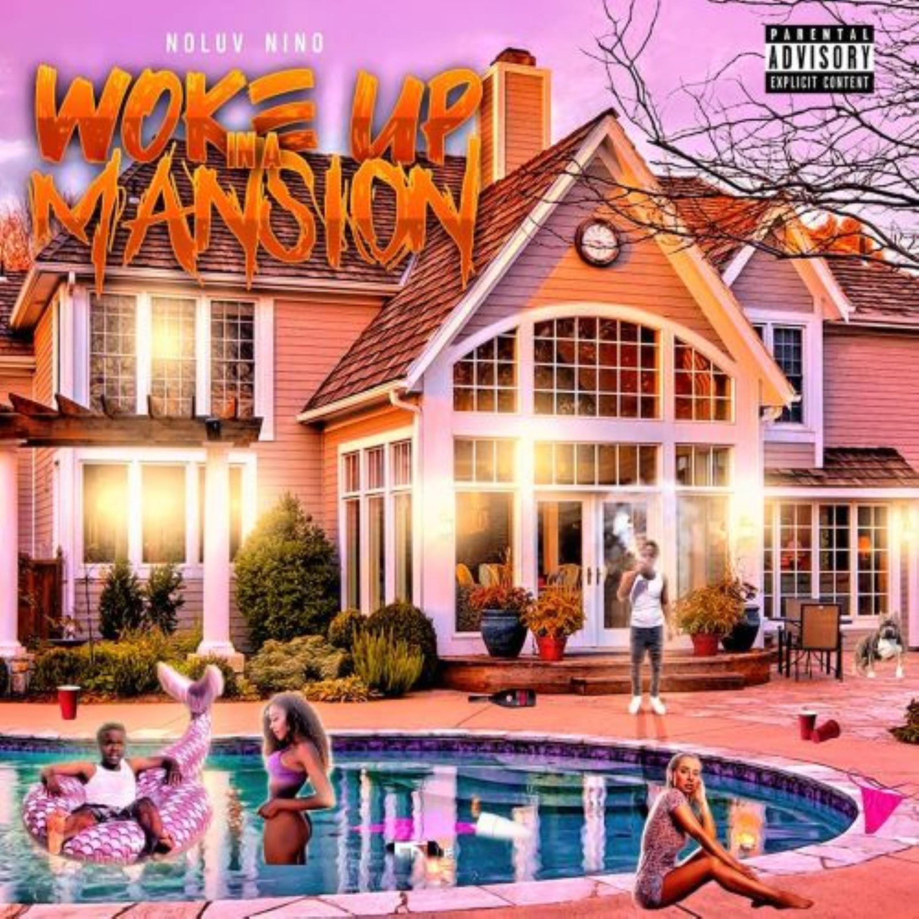 WOKE UP INA MANSION artwork