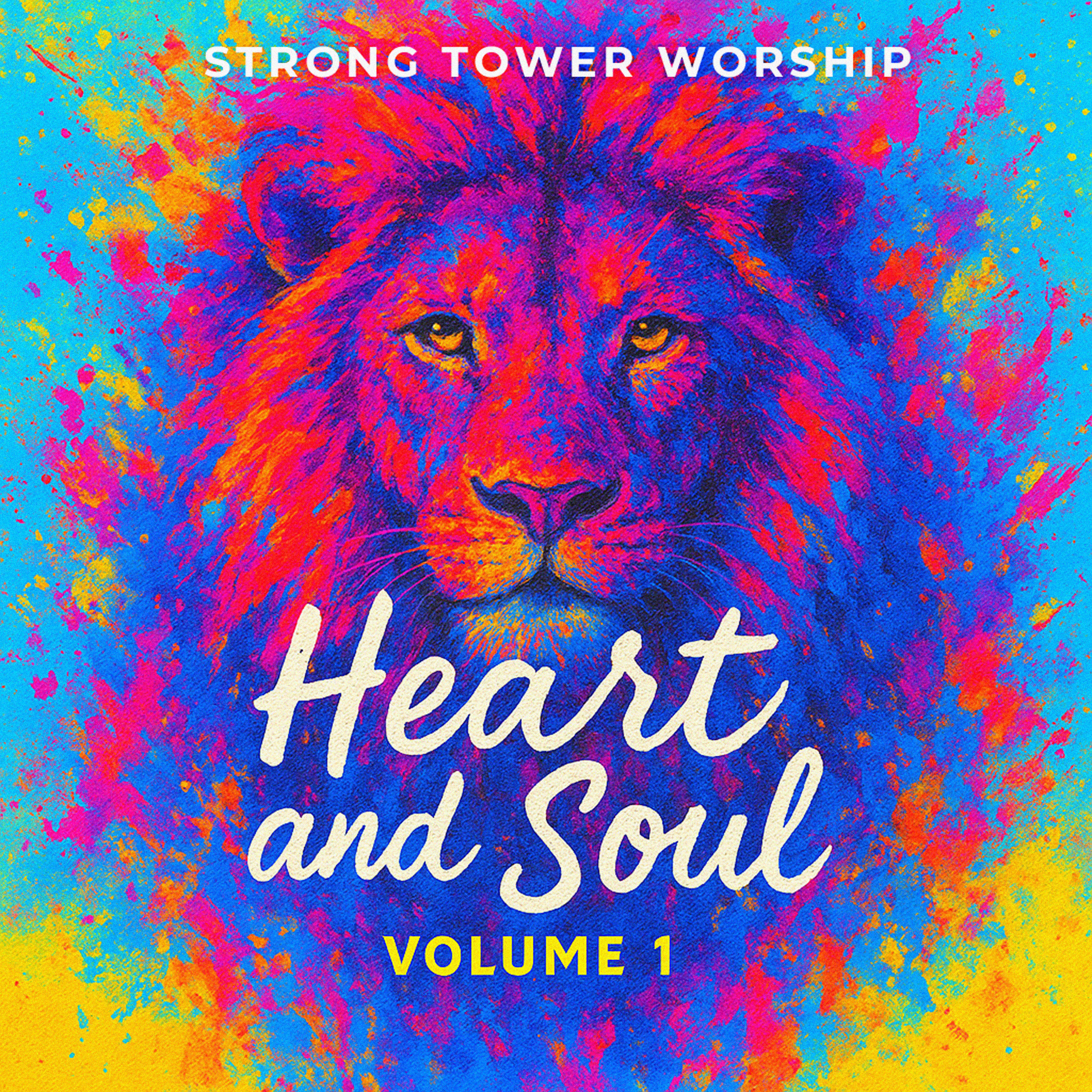 Heart and Soul (Volume 1) by Strong Tower Worship cover art