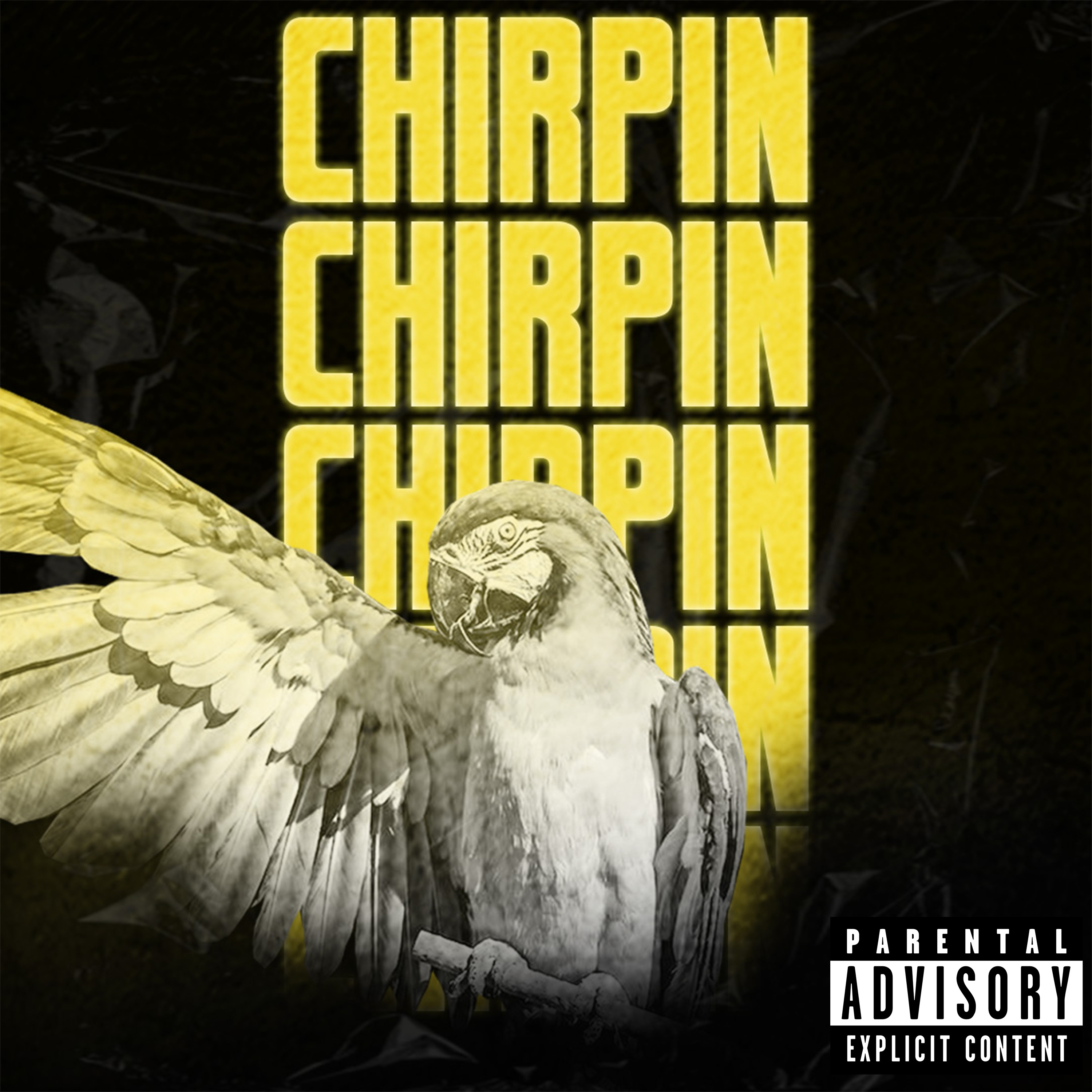 Chirpin' artwork