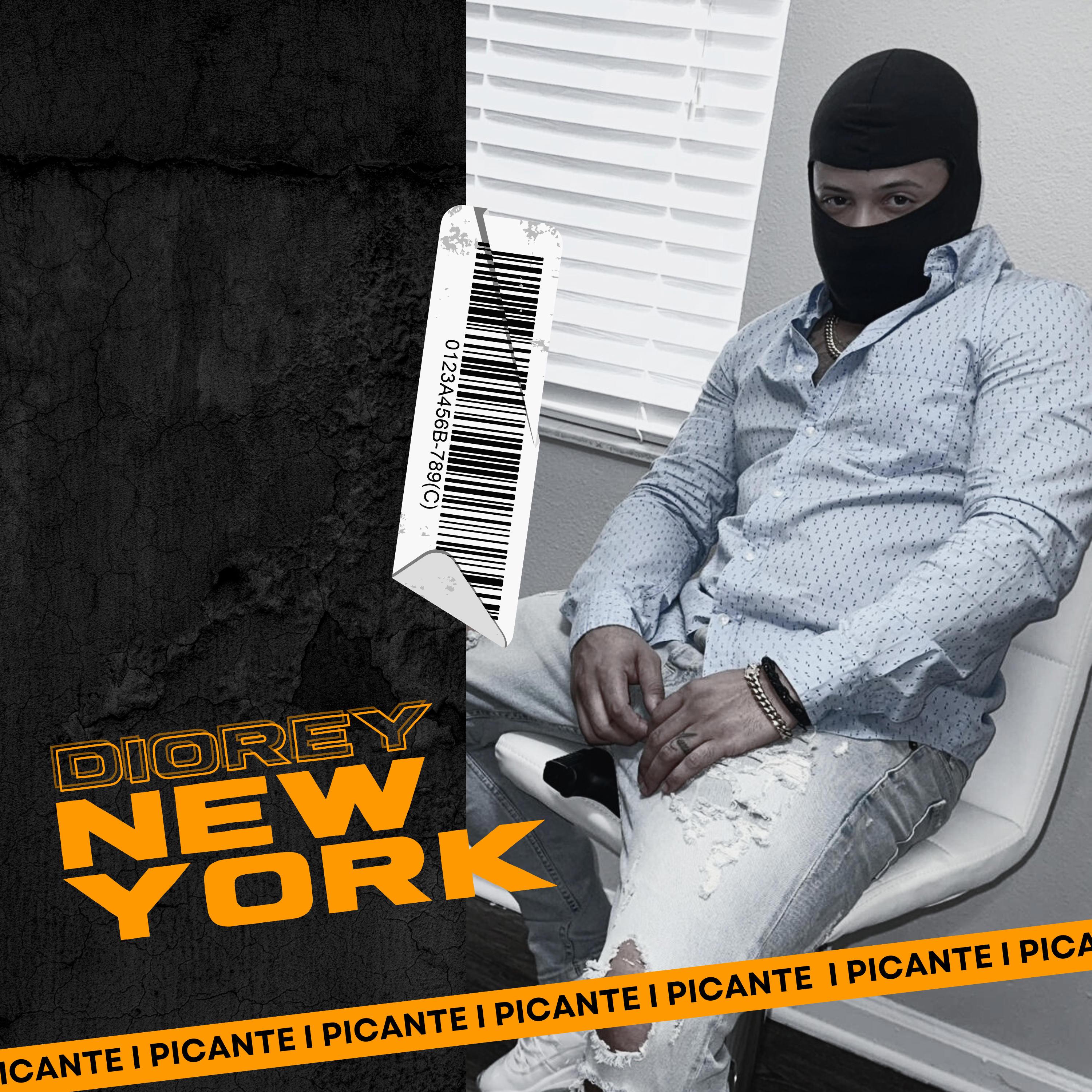 New York by Diorey cover art