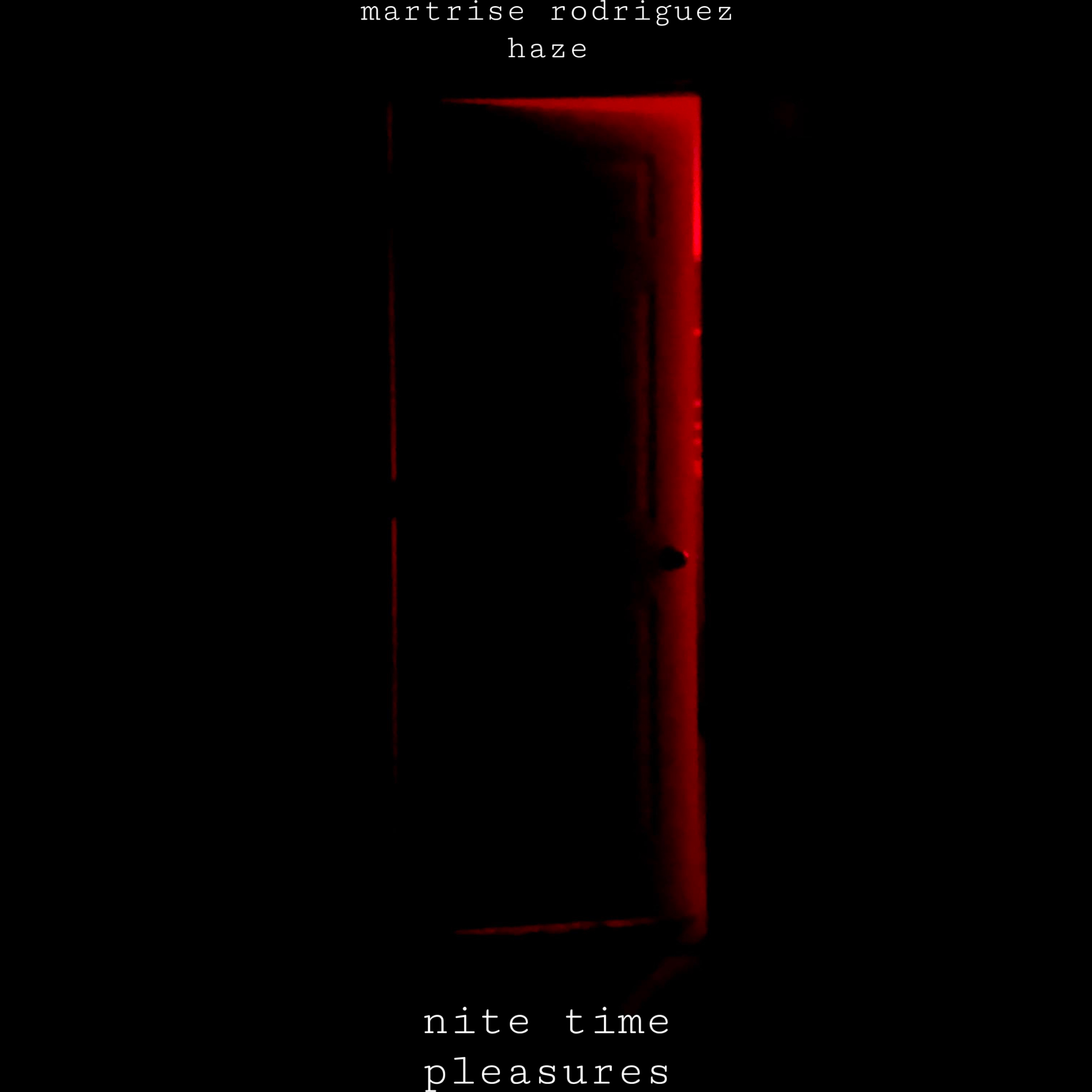 NITE TIME PLEASURES artwork