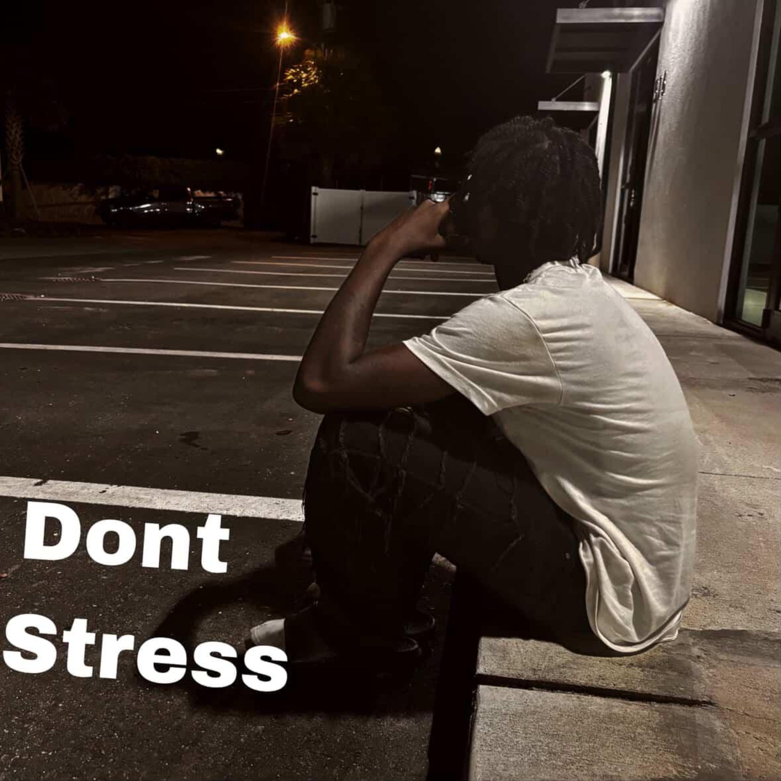 Dont Stress artwork