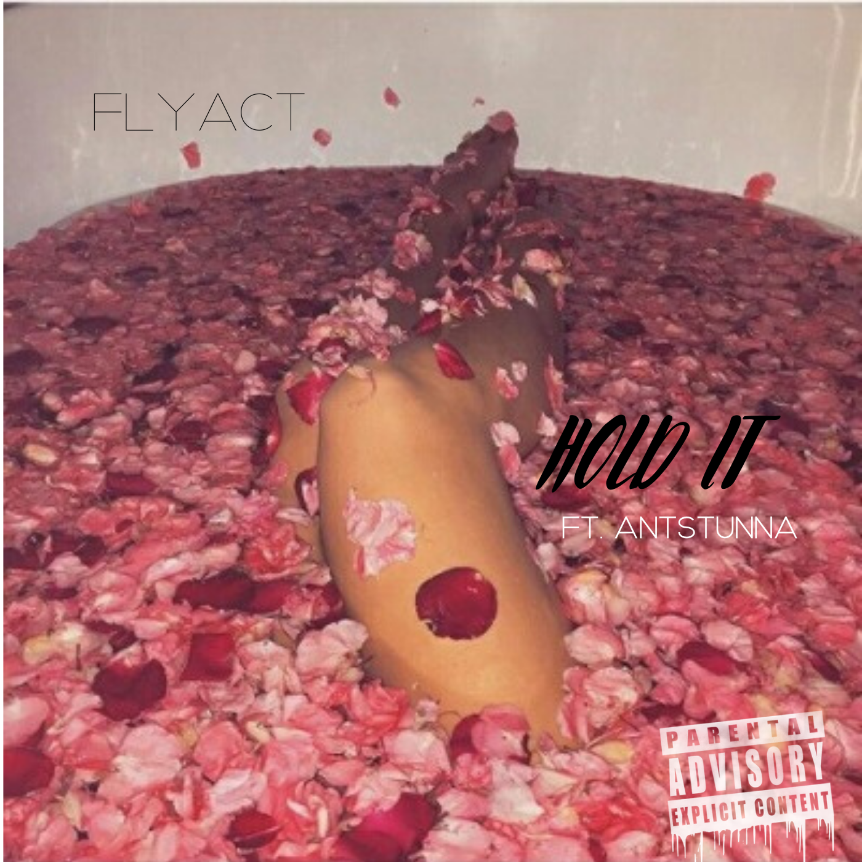 HOLD IT artwork