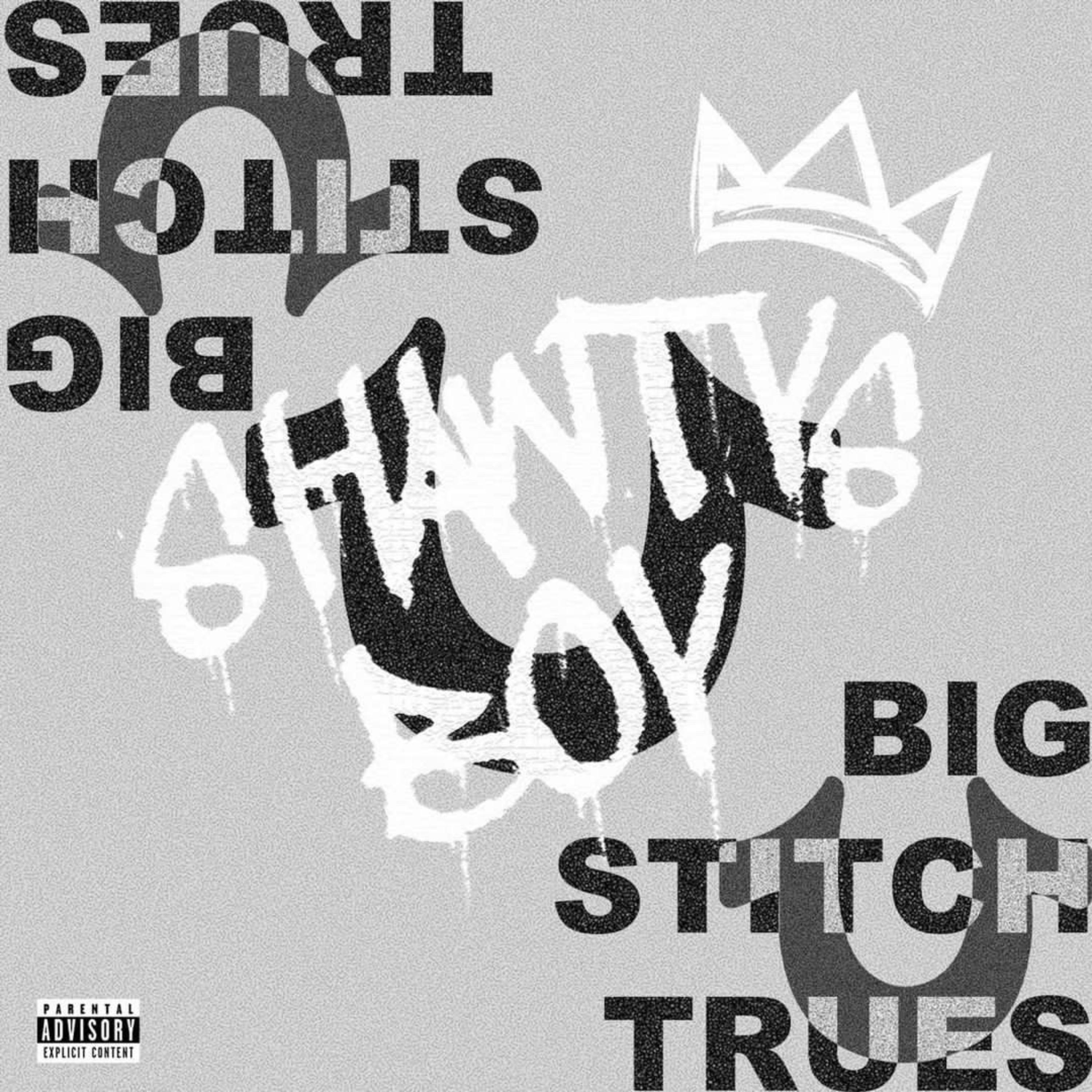 BIG STITCH TRUES by shawty's boy cover art
