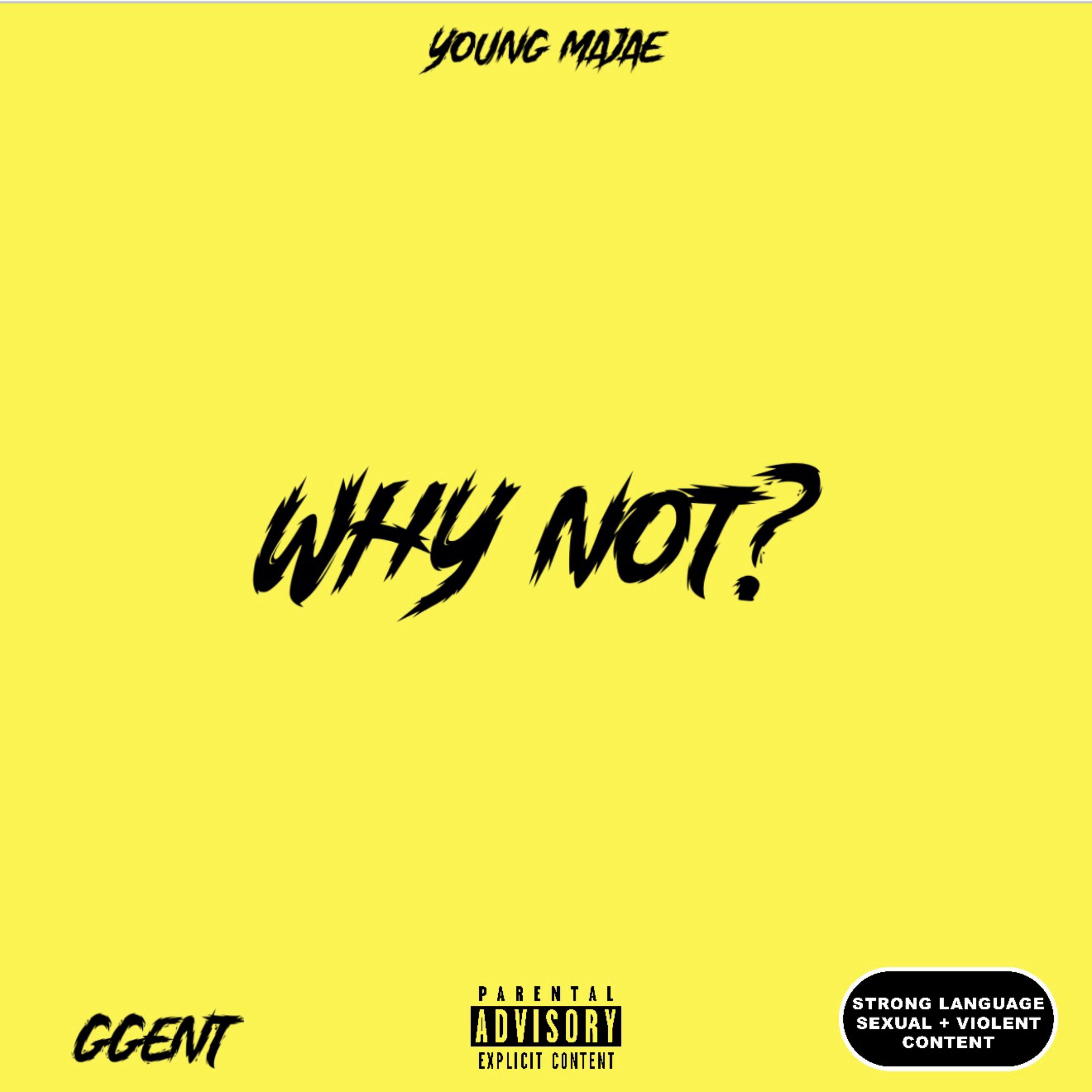 WHY NOT artwork