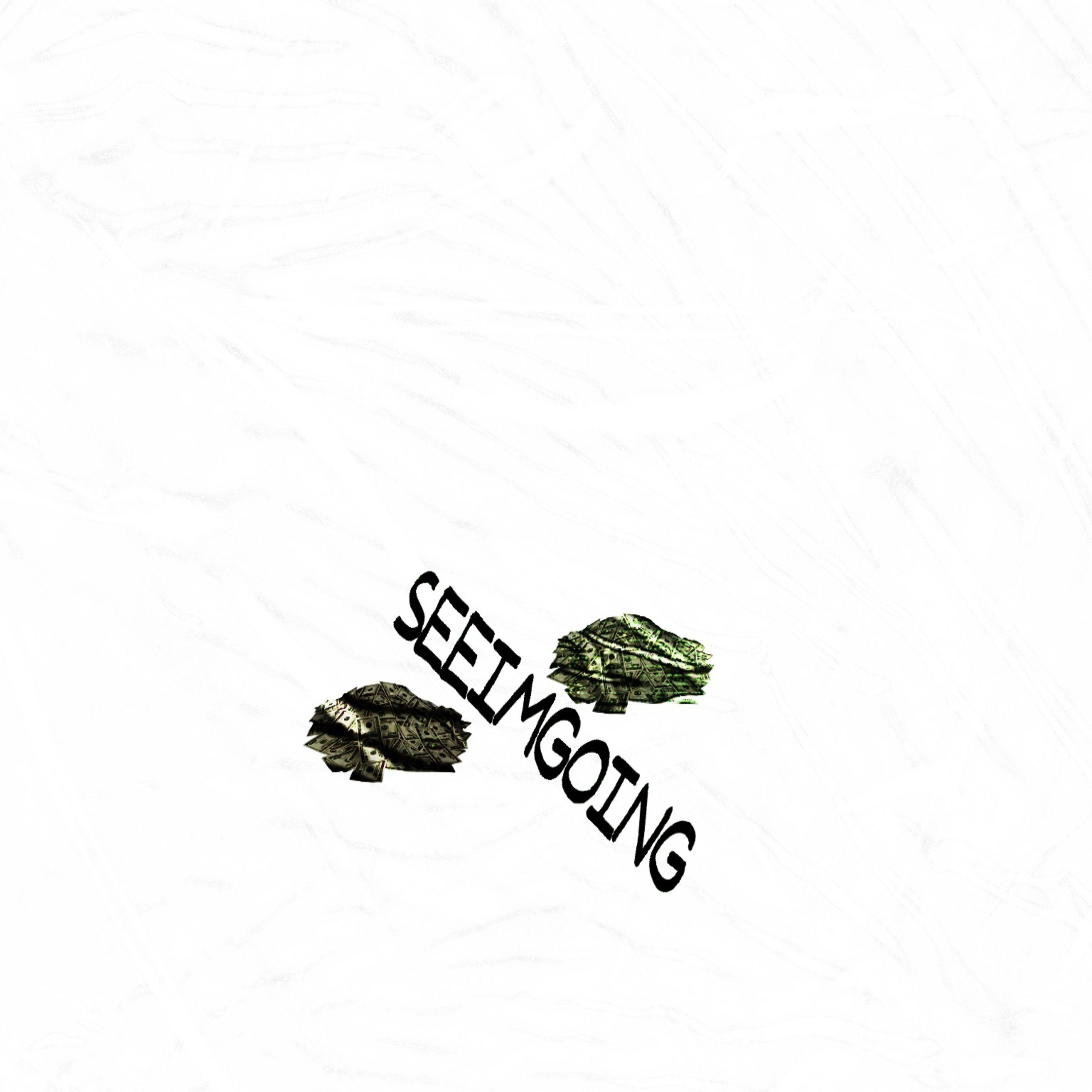 SEEIMGOIN artwork