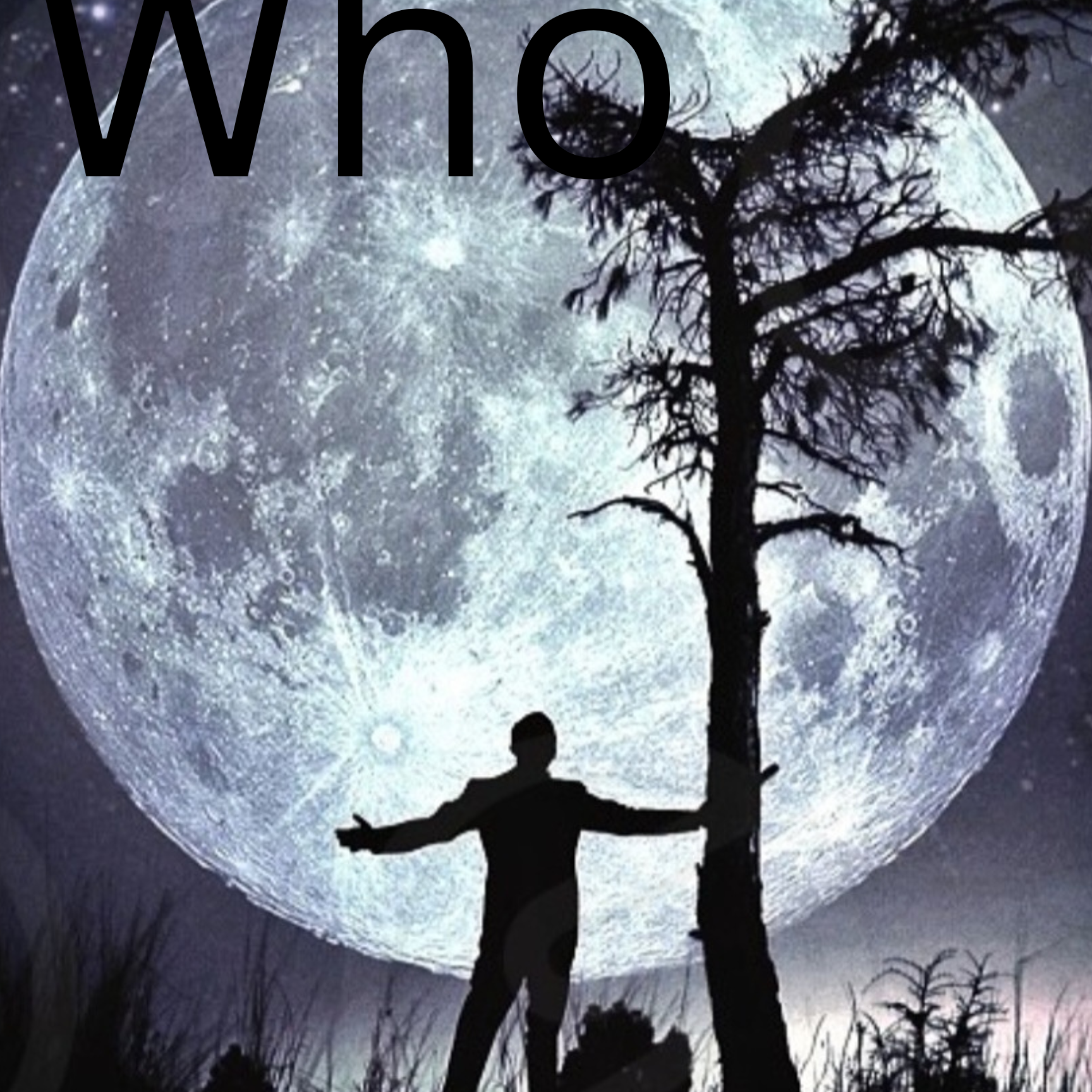 Who artwork