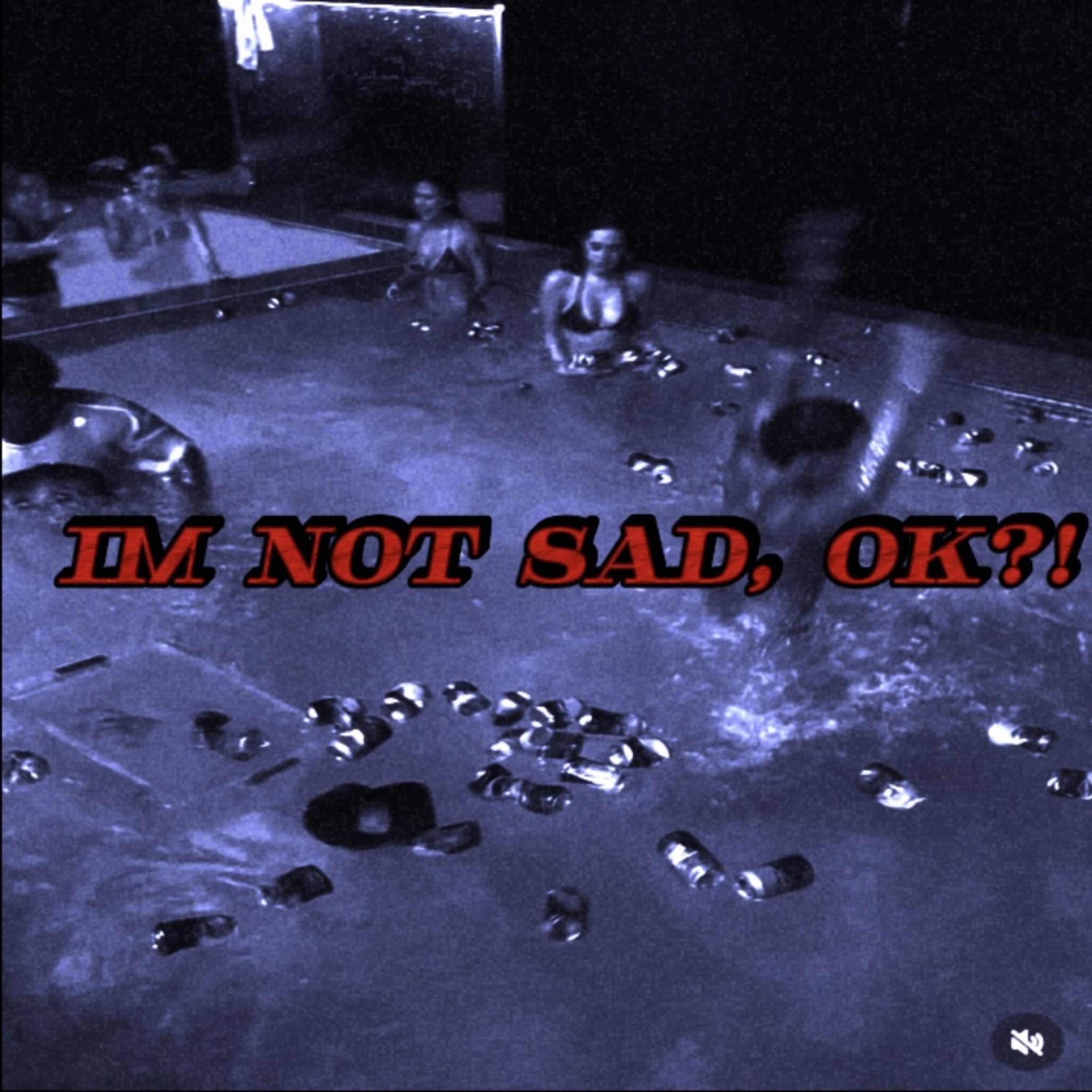 IM NOT SAD, OK?! artwork