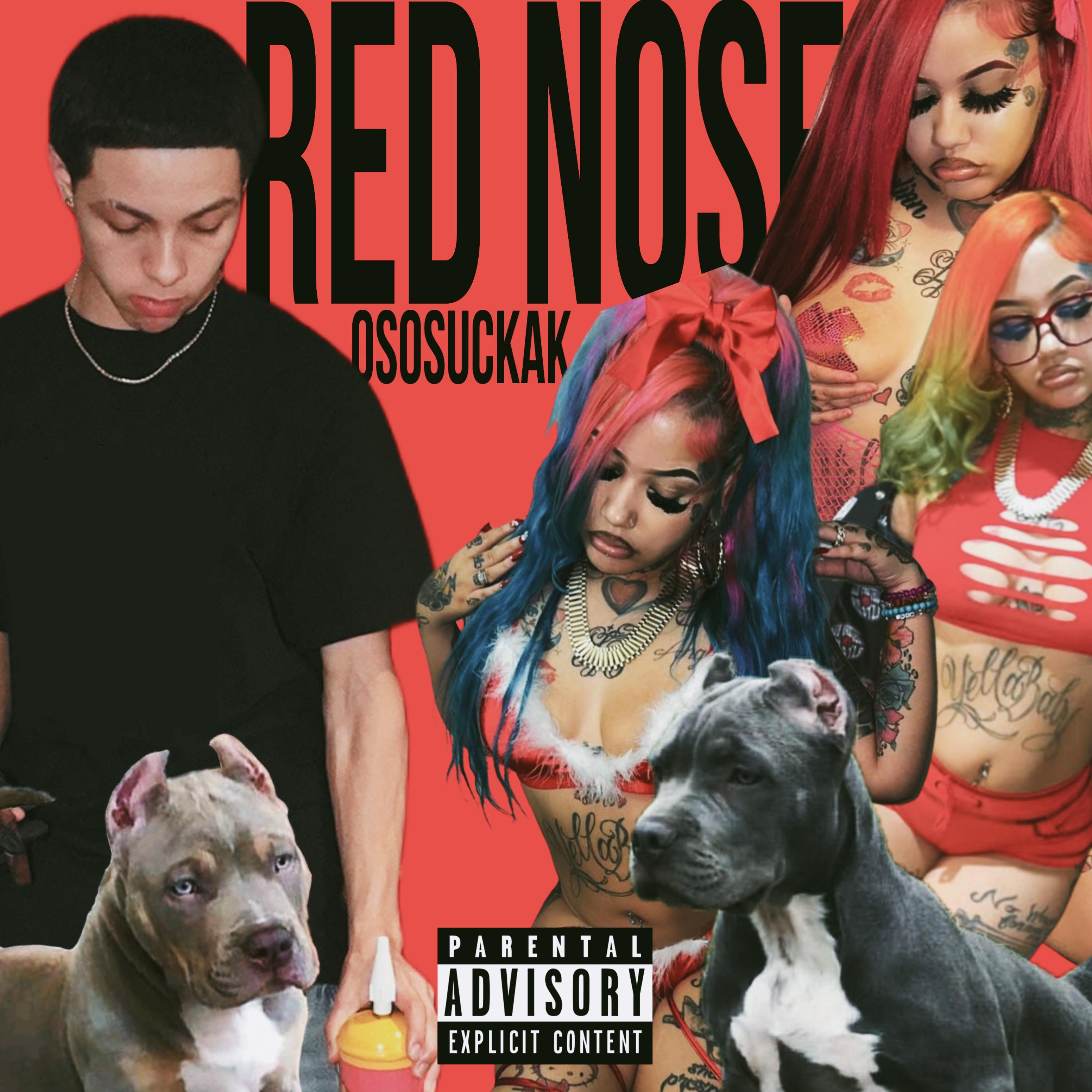 Red Nose artwork