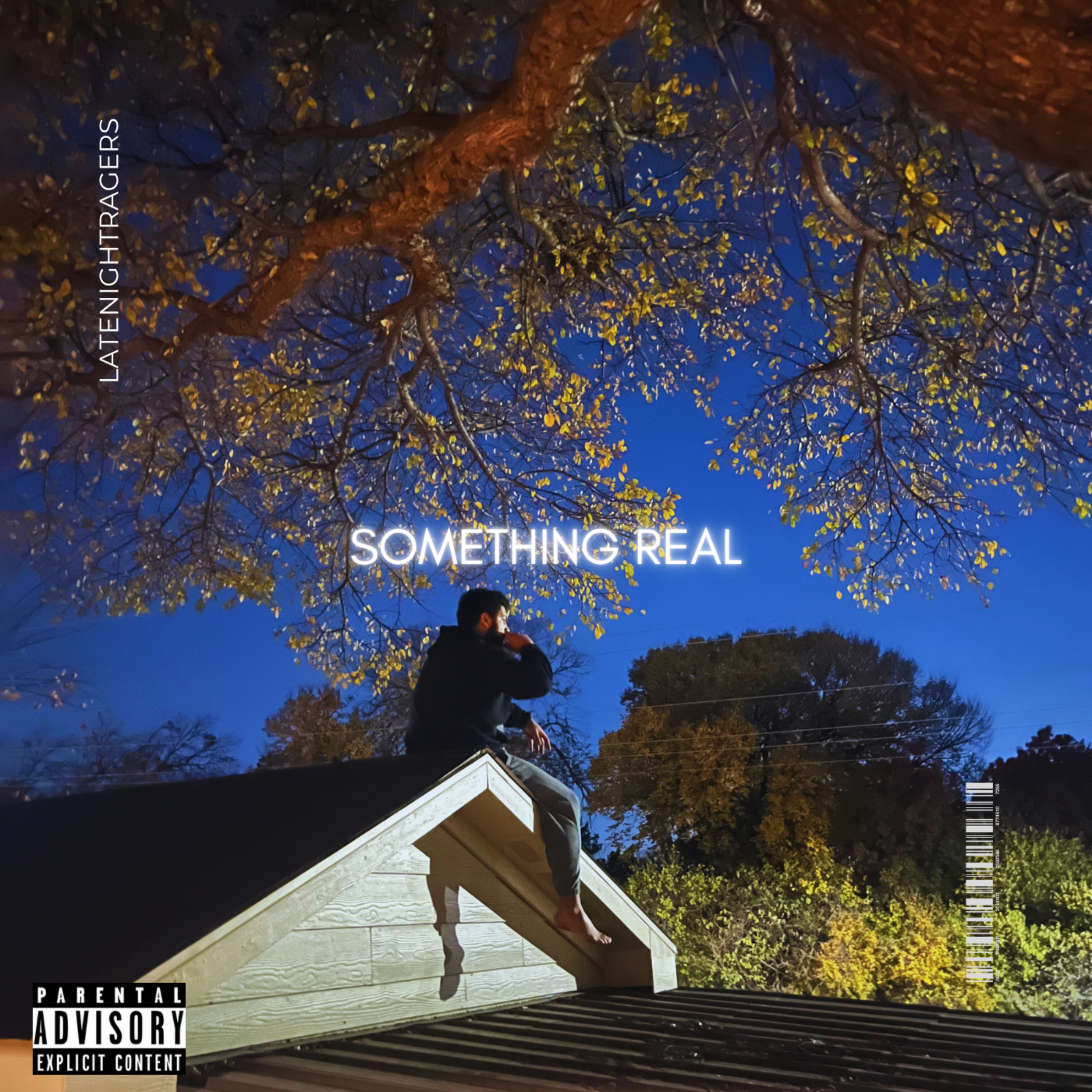 Something Real artwork