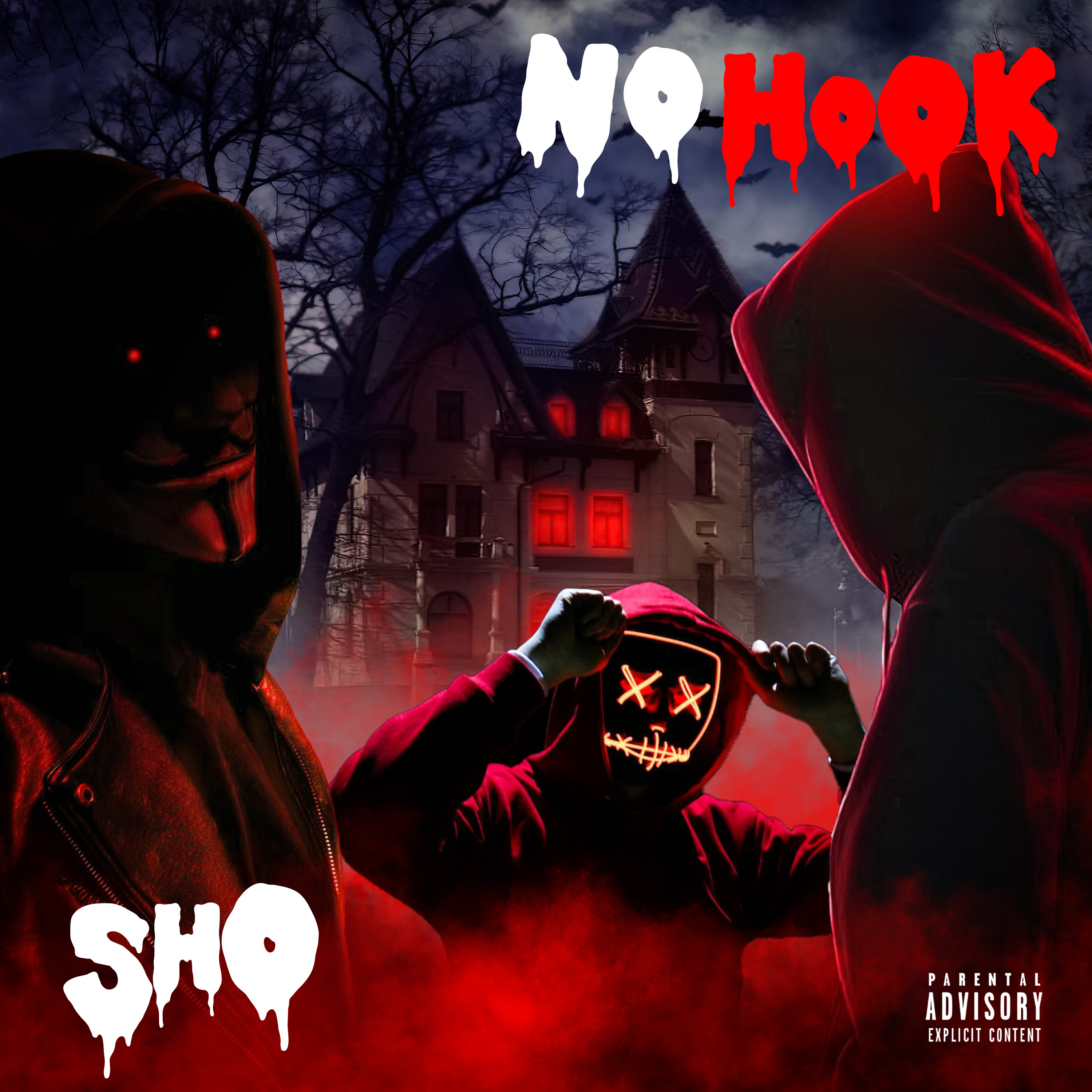 (No Hook) artwork