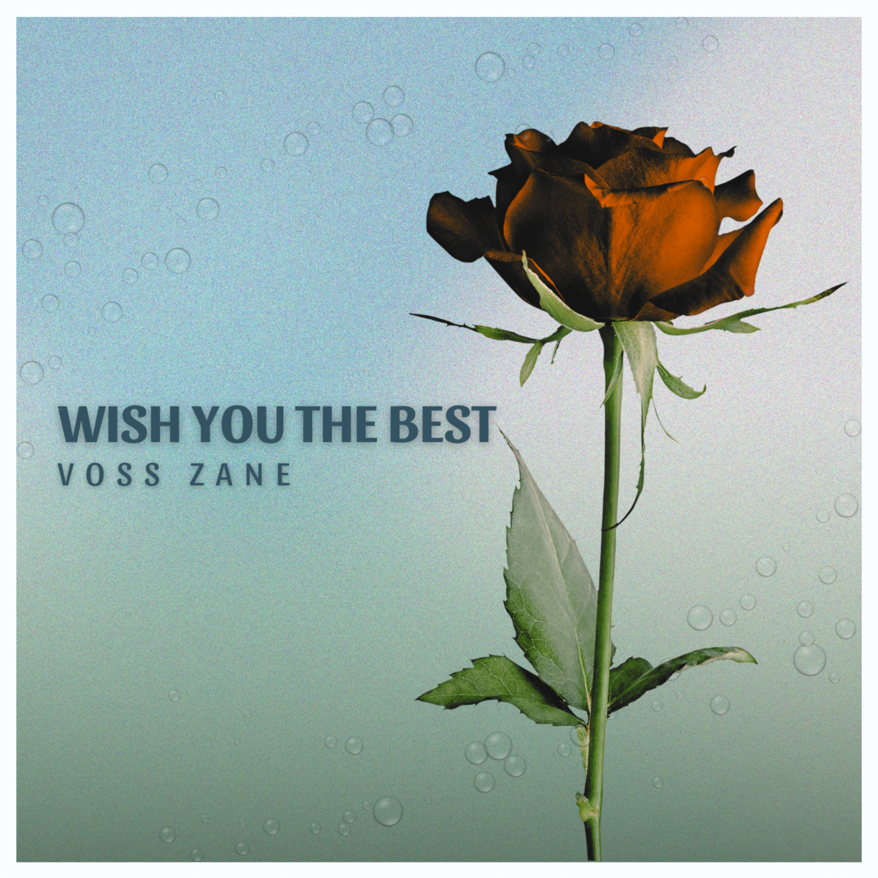 Wish You The Best artwork