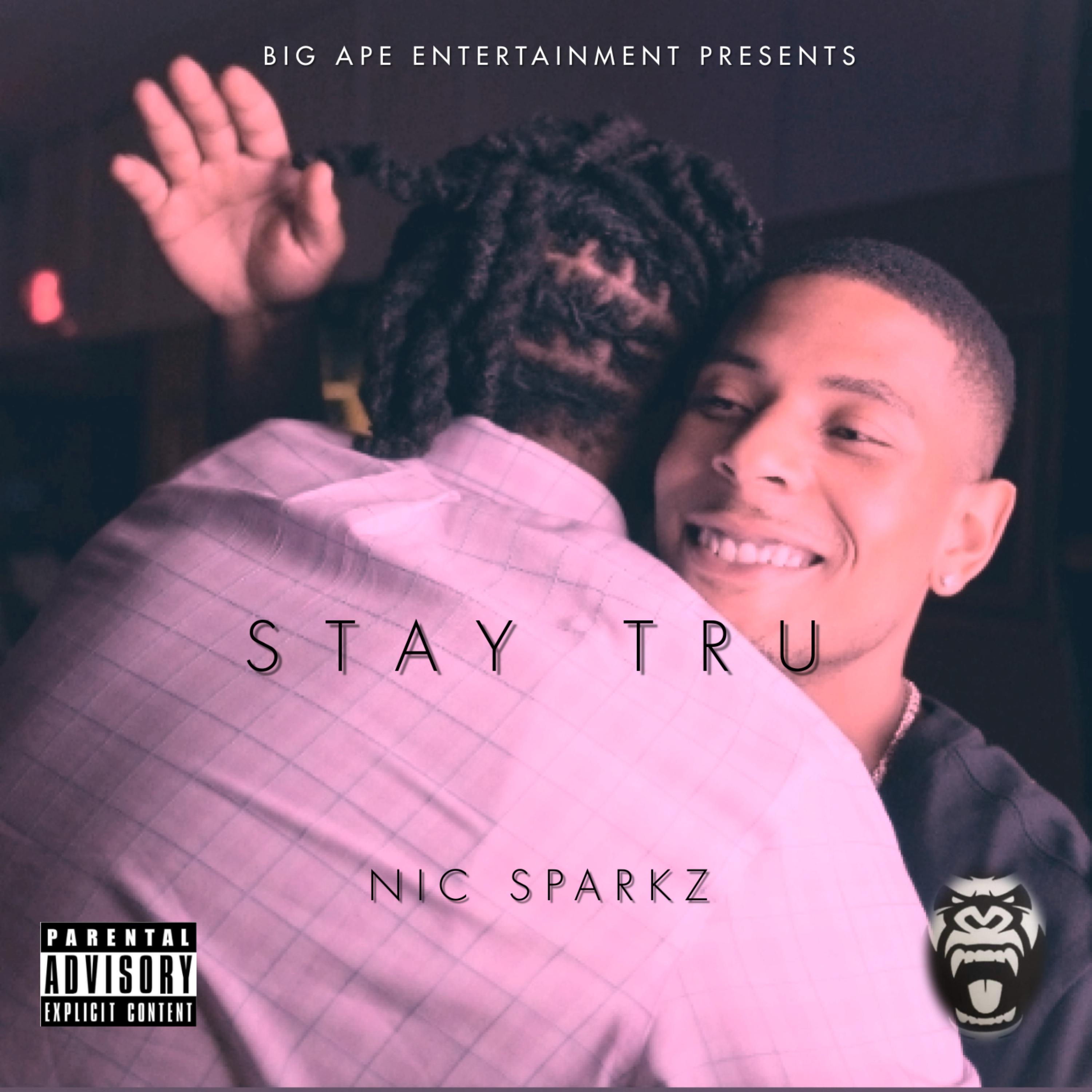 STAY TRU: RELOADED artwork