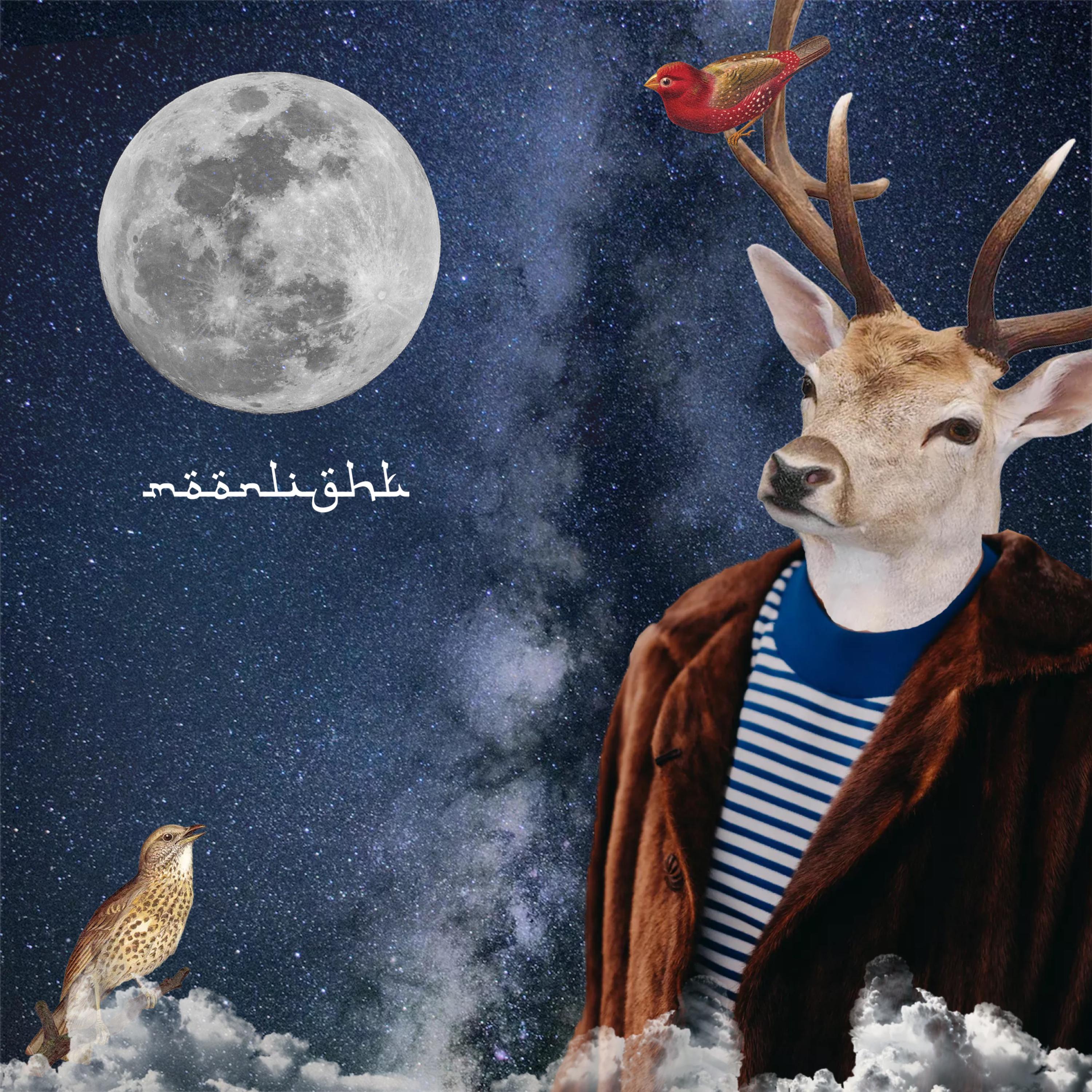 moonlight artwork
