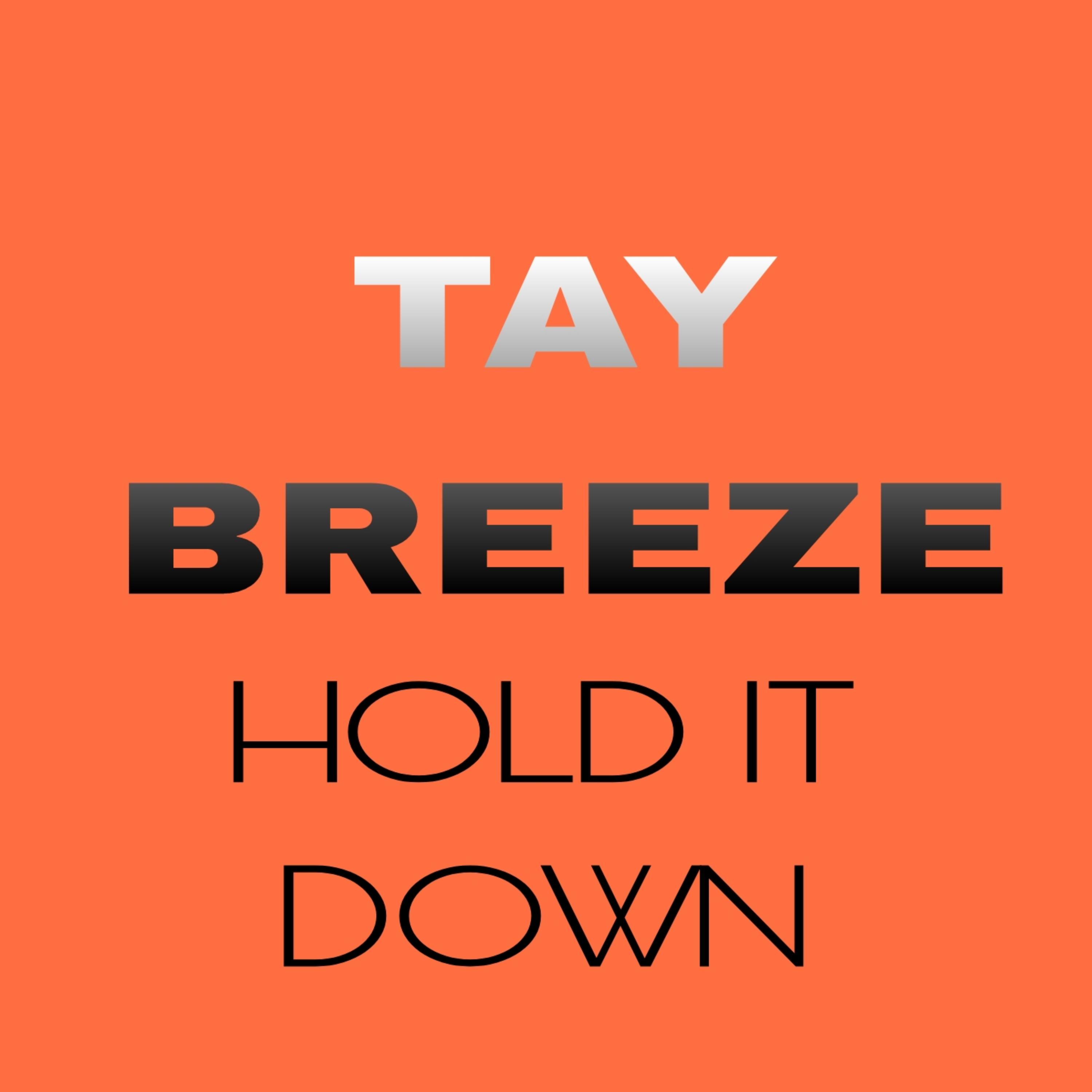 HOLD IT DOWN by Rich millz cover art