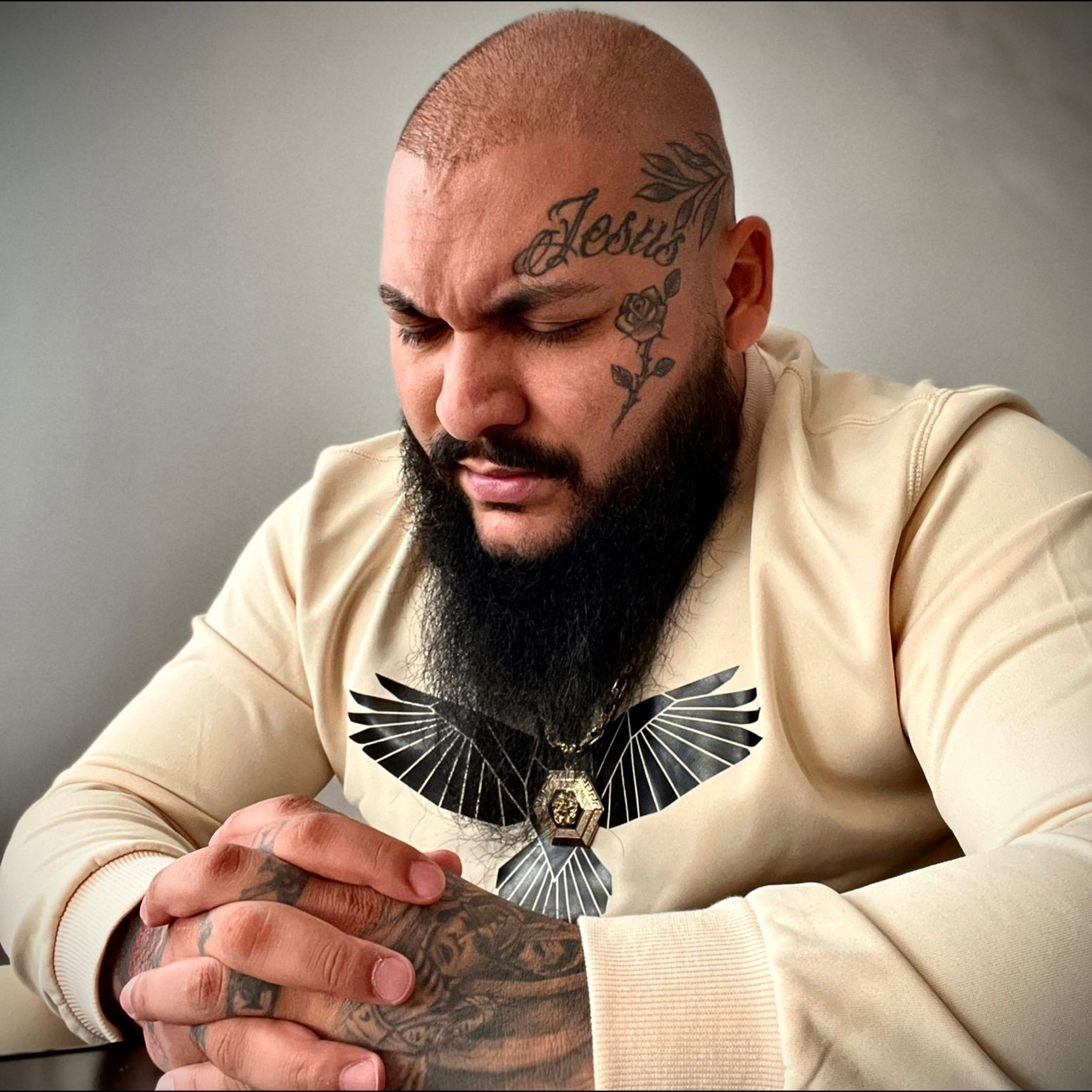 Imparatul meu artwork