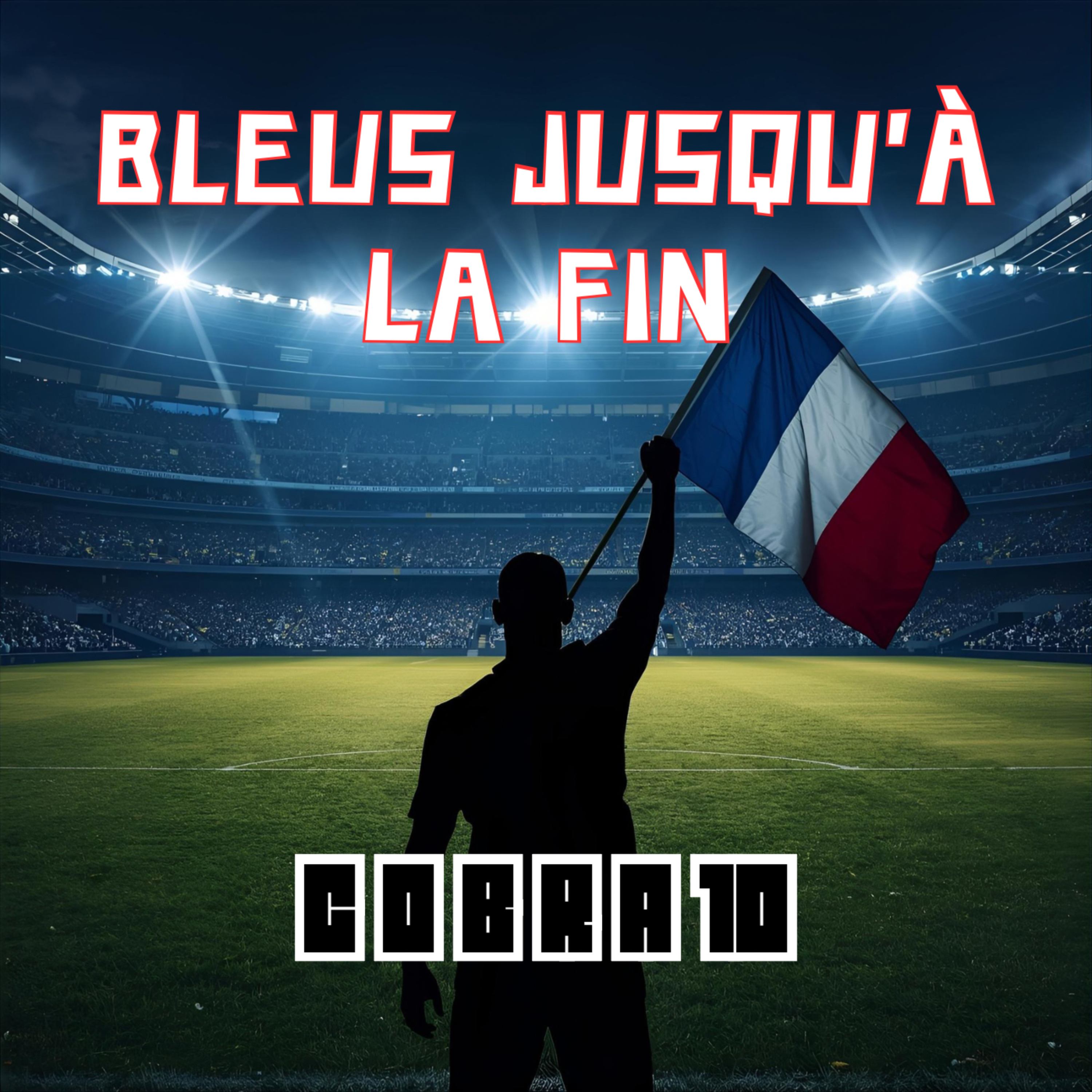 BLEUS JUSQU'À LA FIN artwork