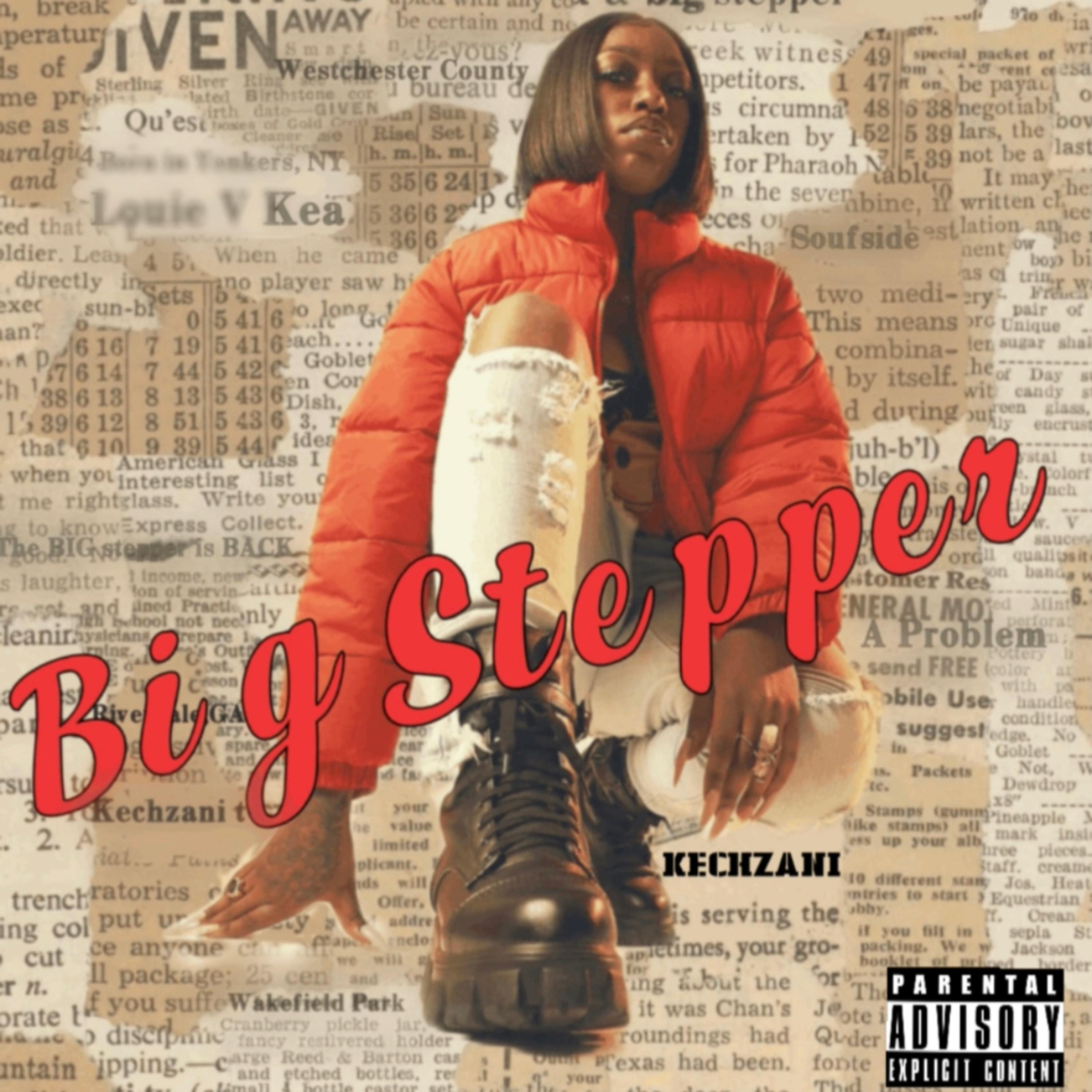 Big Stepper artwork