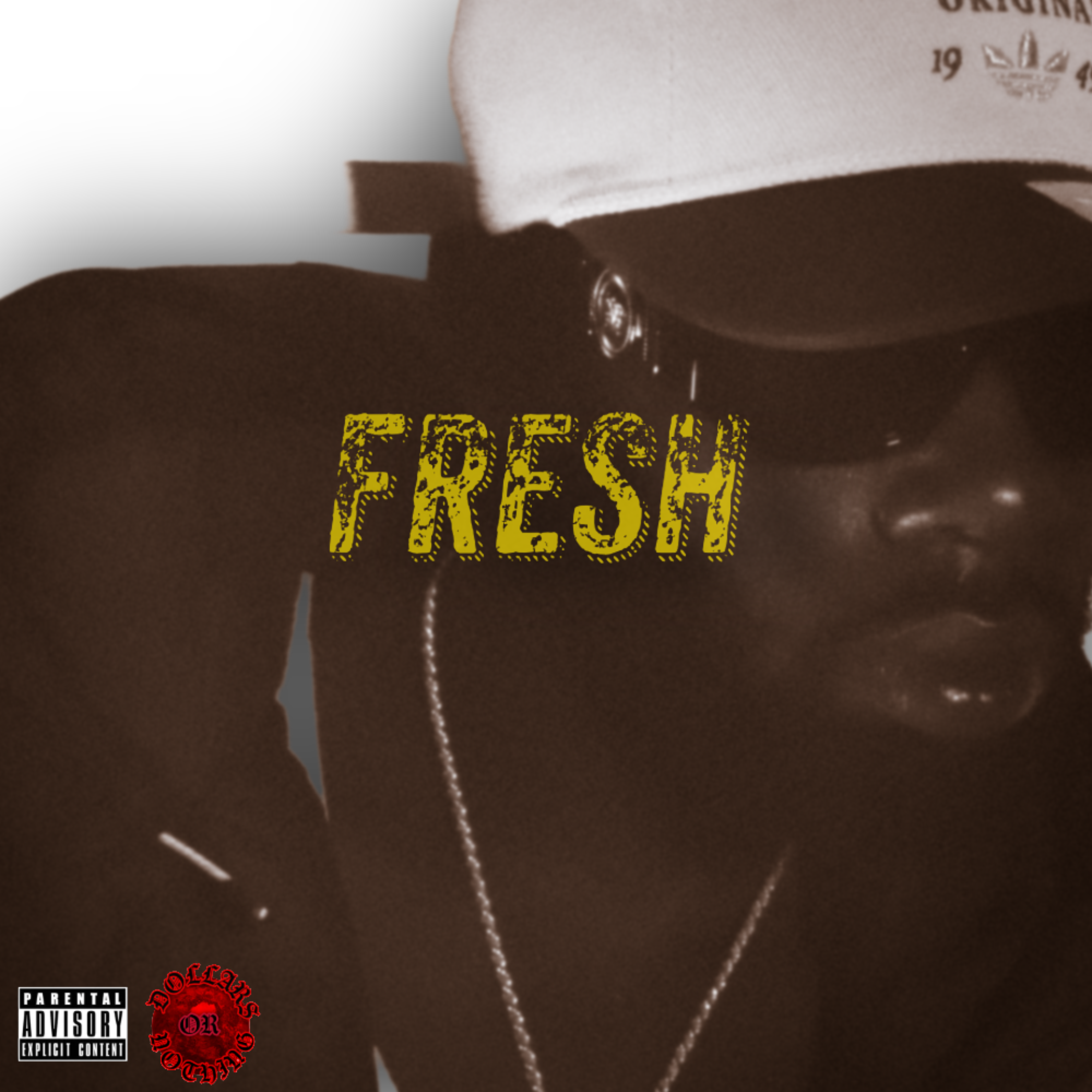 Fresh by LOKEY cover art
