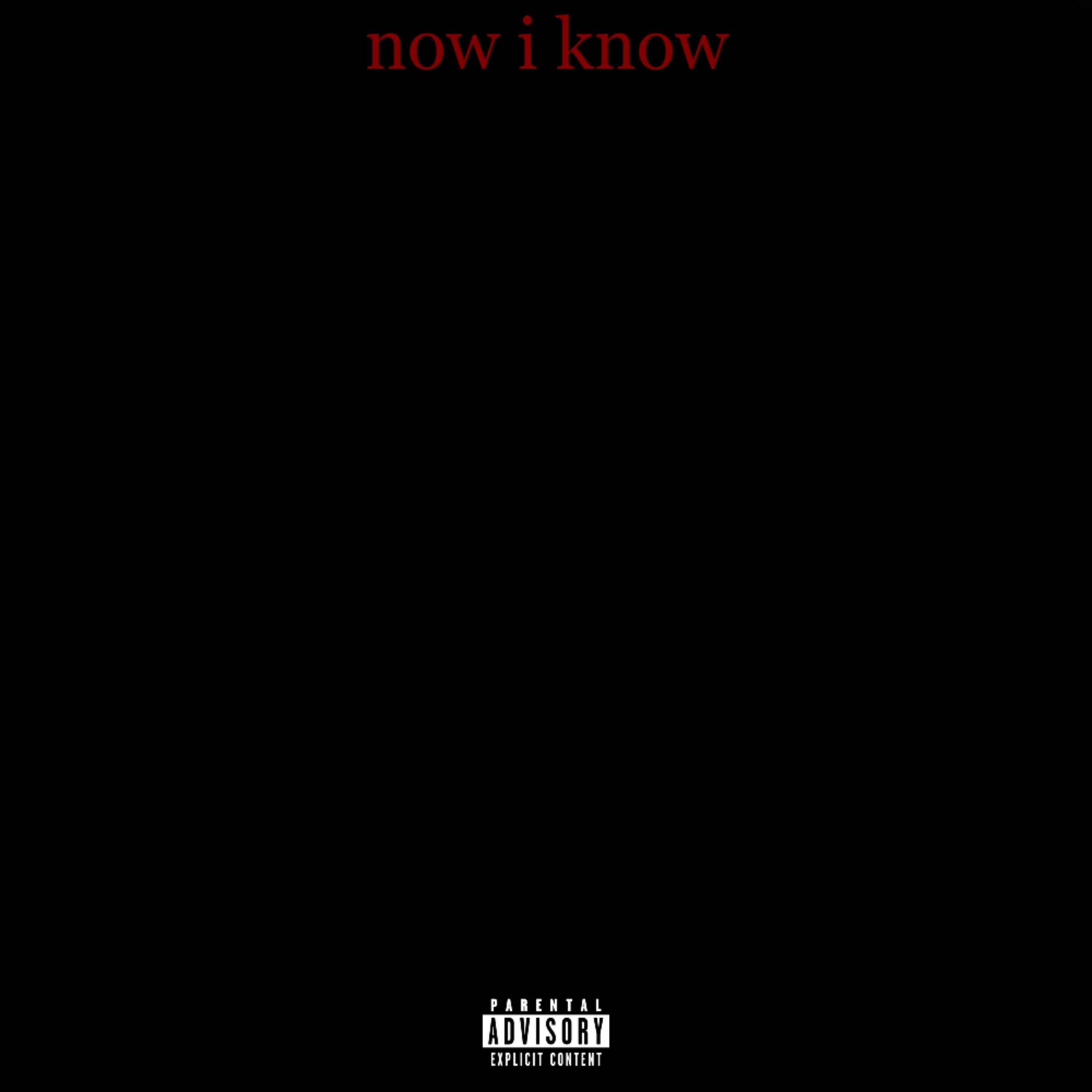 now i know artwork