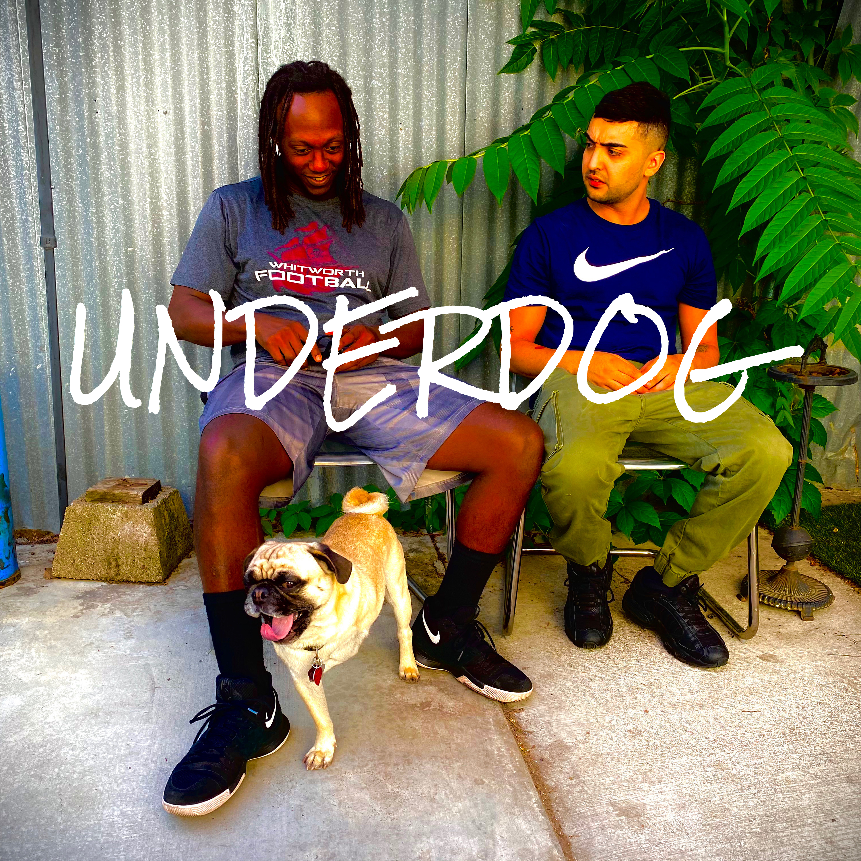 UnderDog artwork