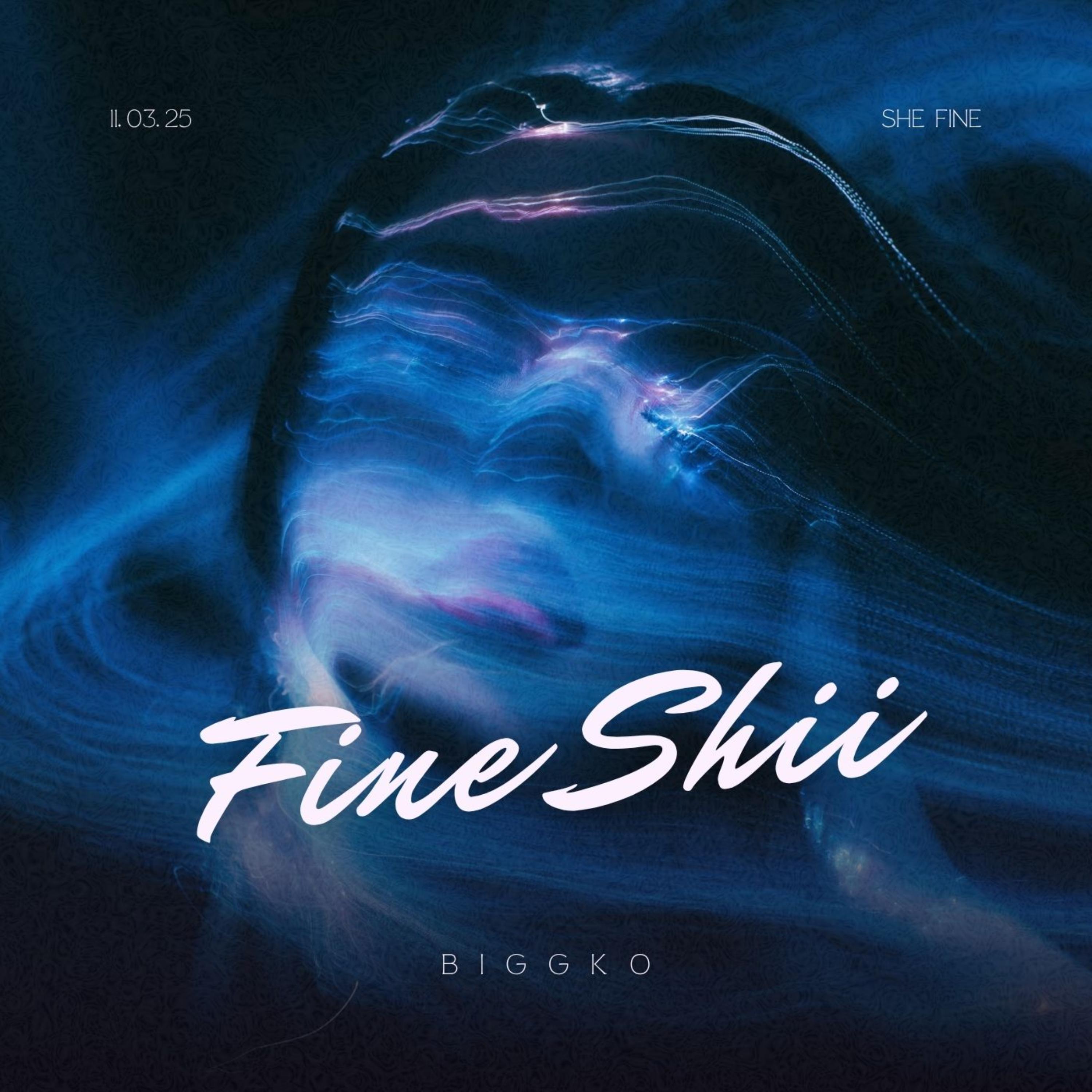 Fine Shii artwork