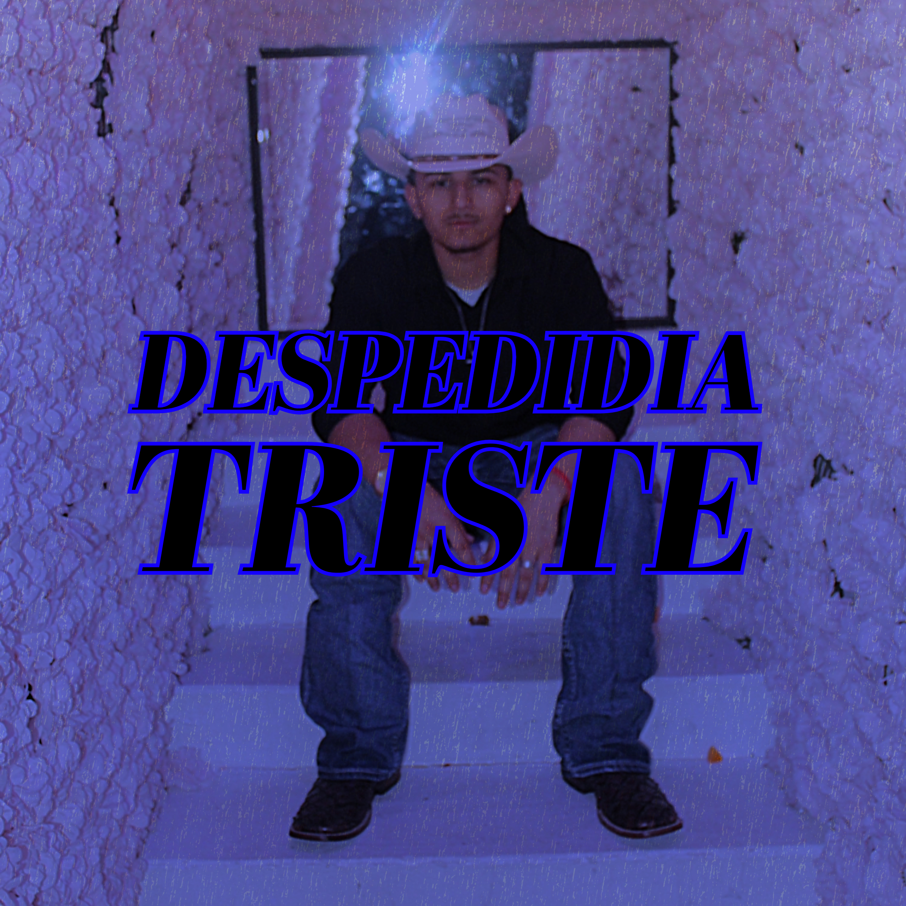 Despedida Triste artwork