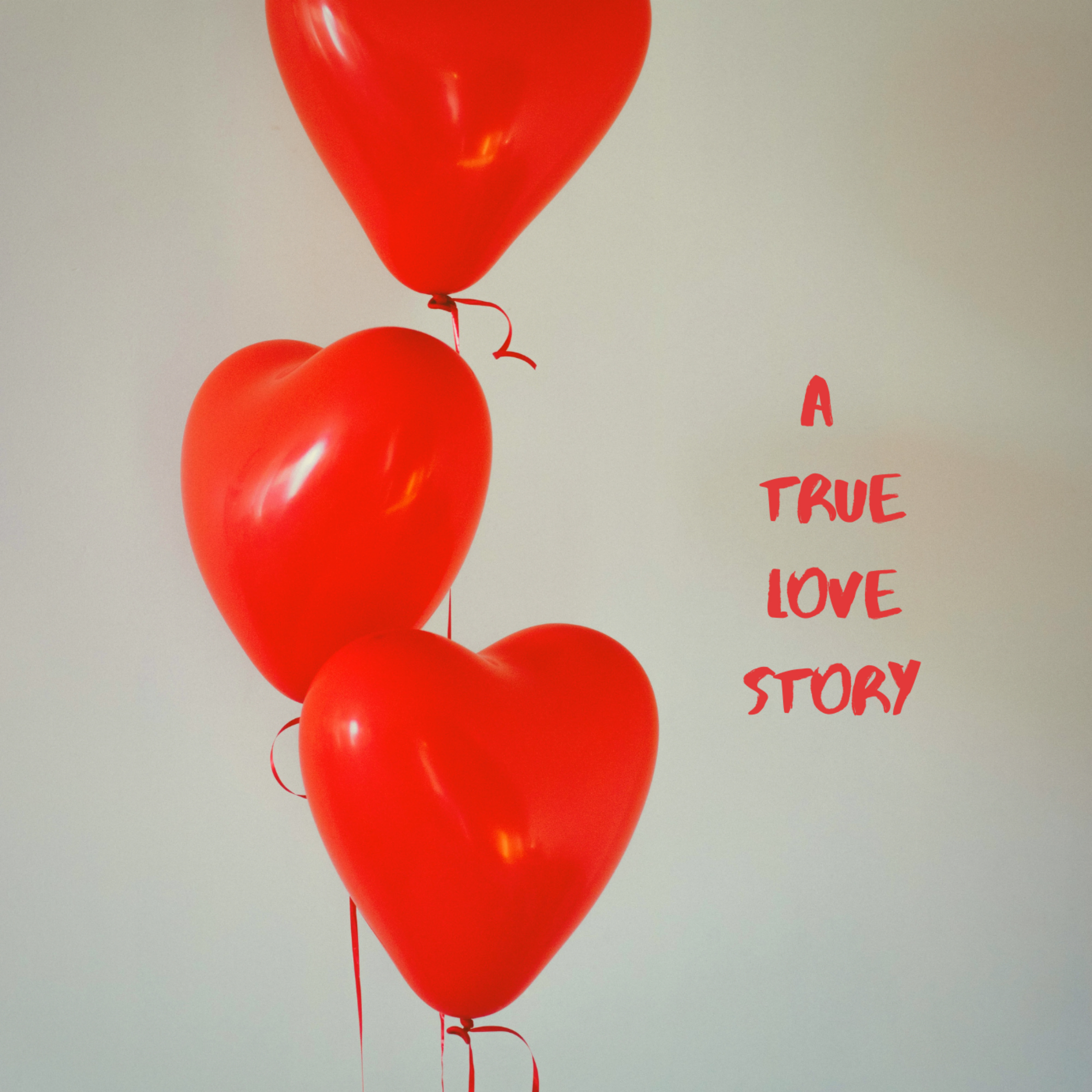 A True Love Story artwork