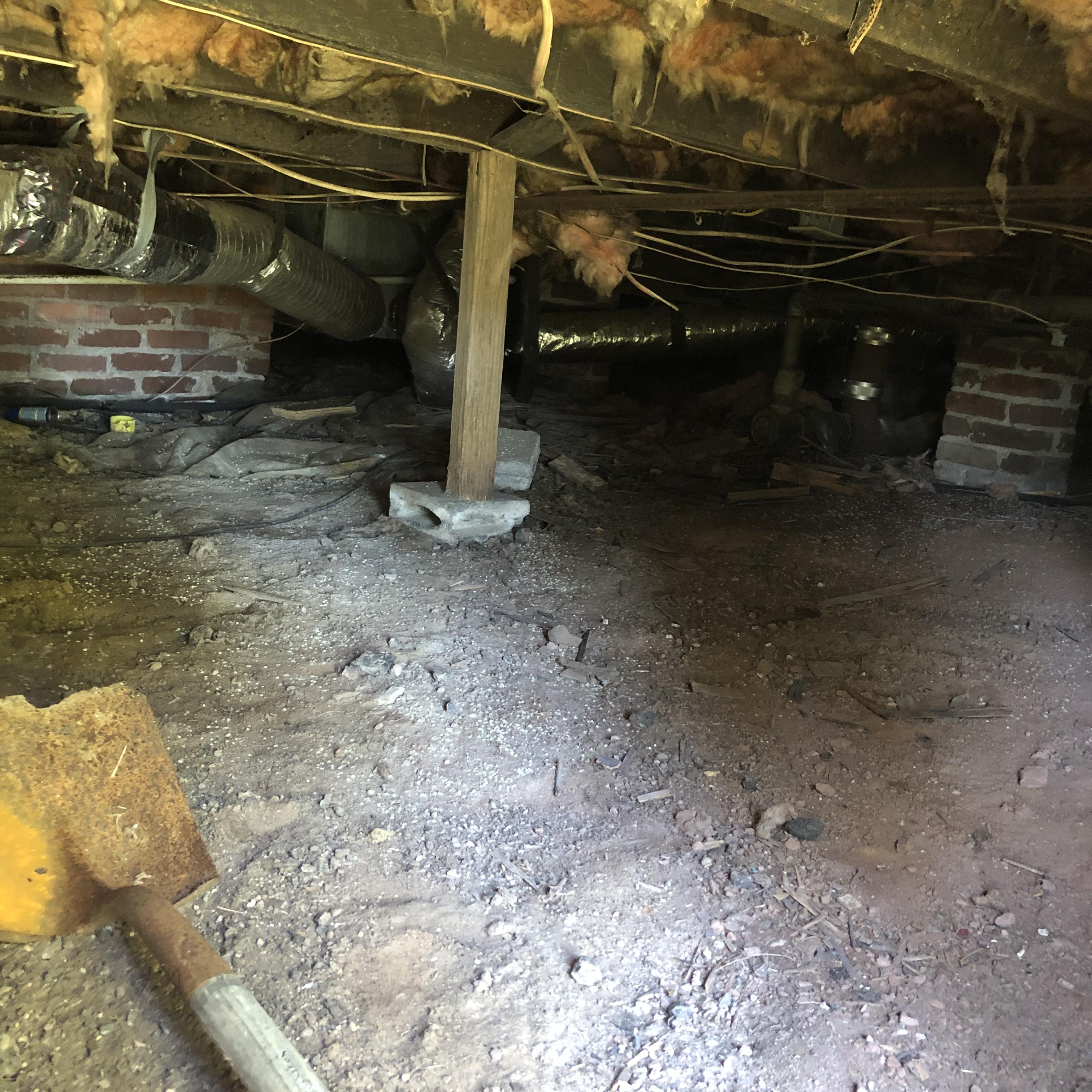 Gacy’s Basement artwork