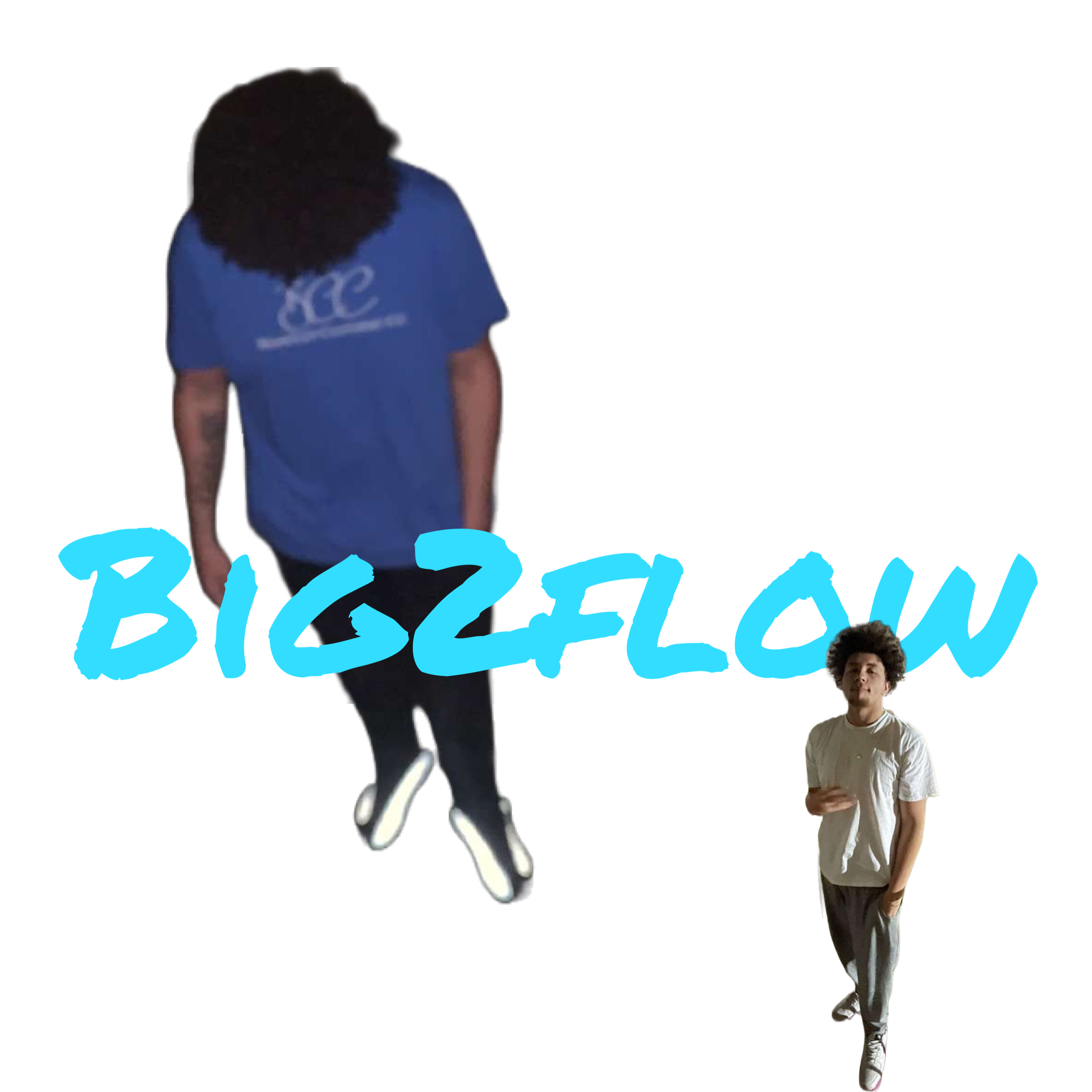 Big2Flow artwork