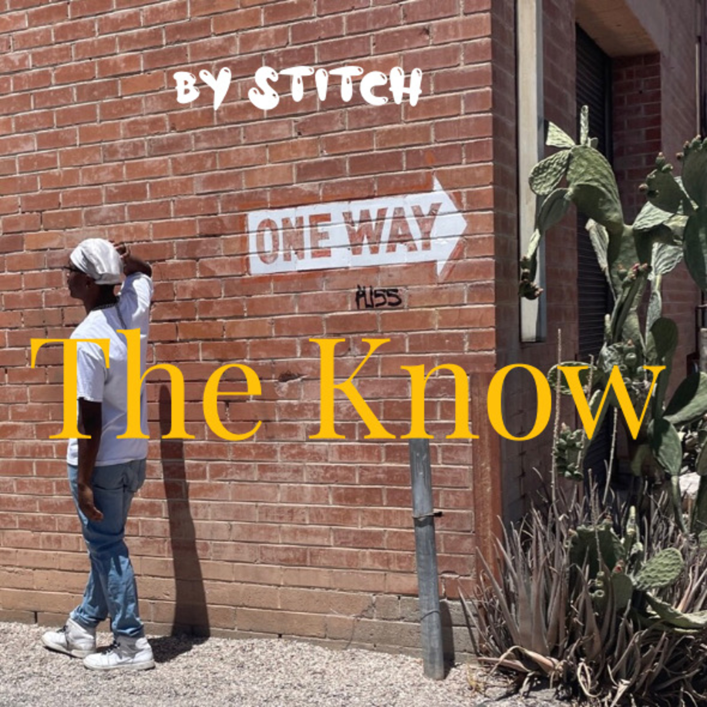The Know by Stitch cover art