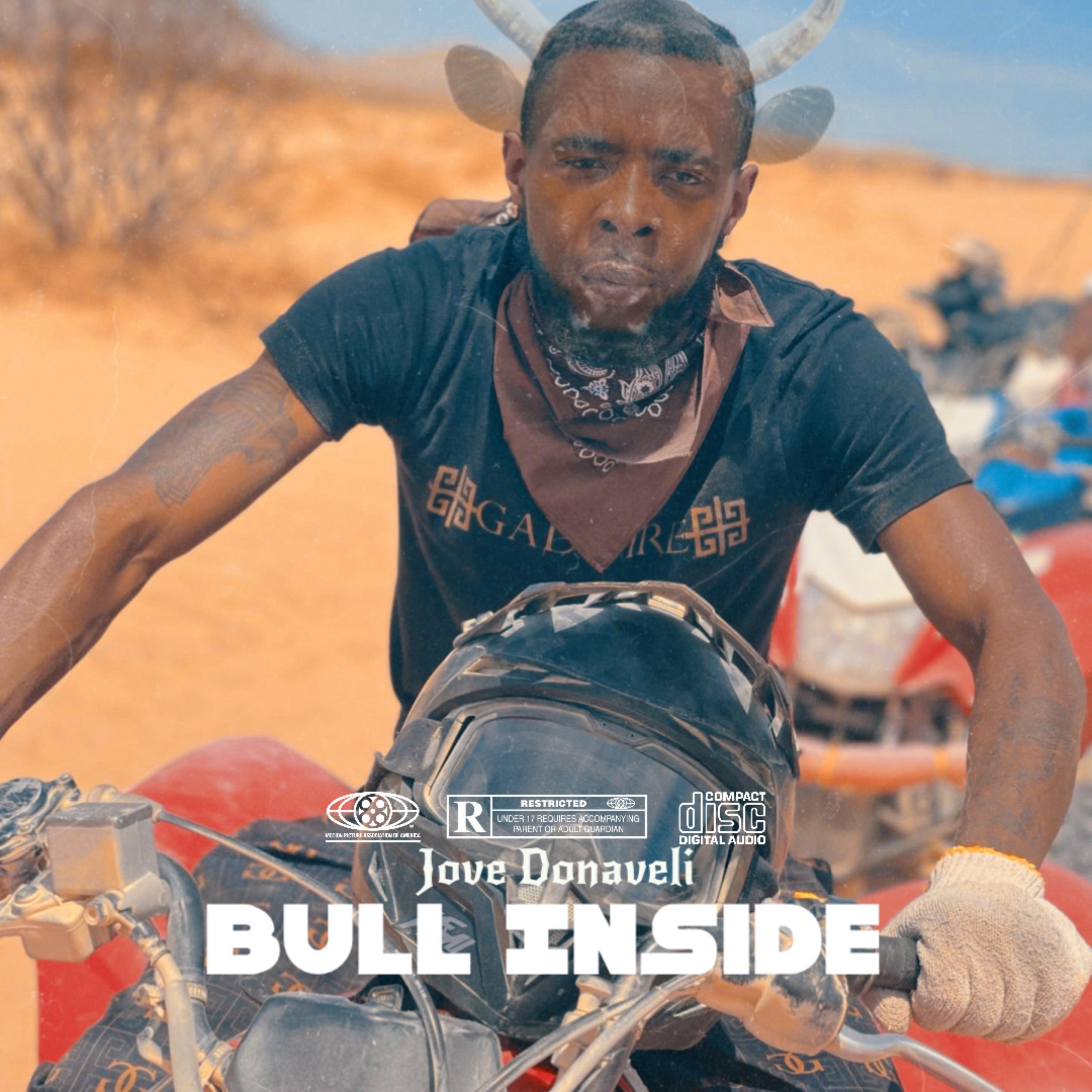 Bull Inside artwork