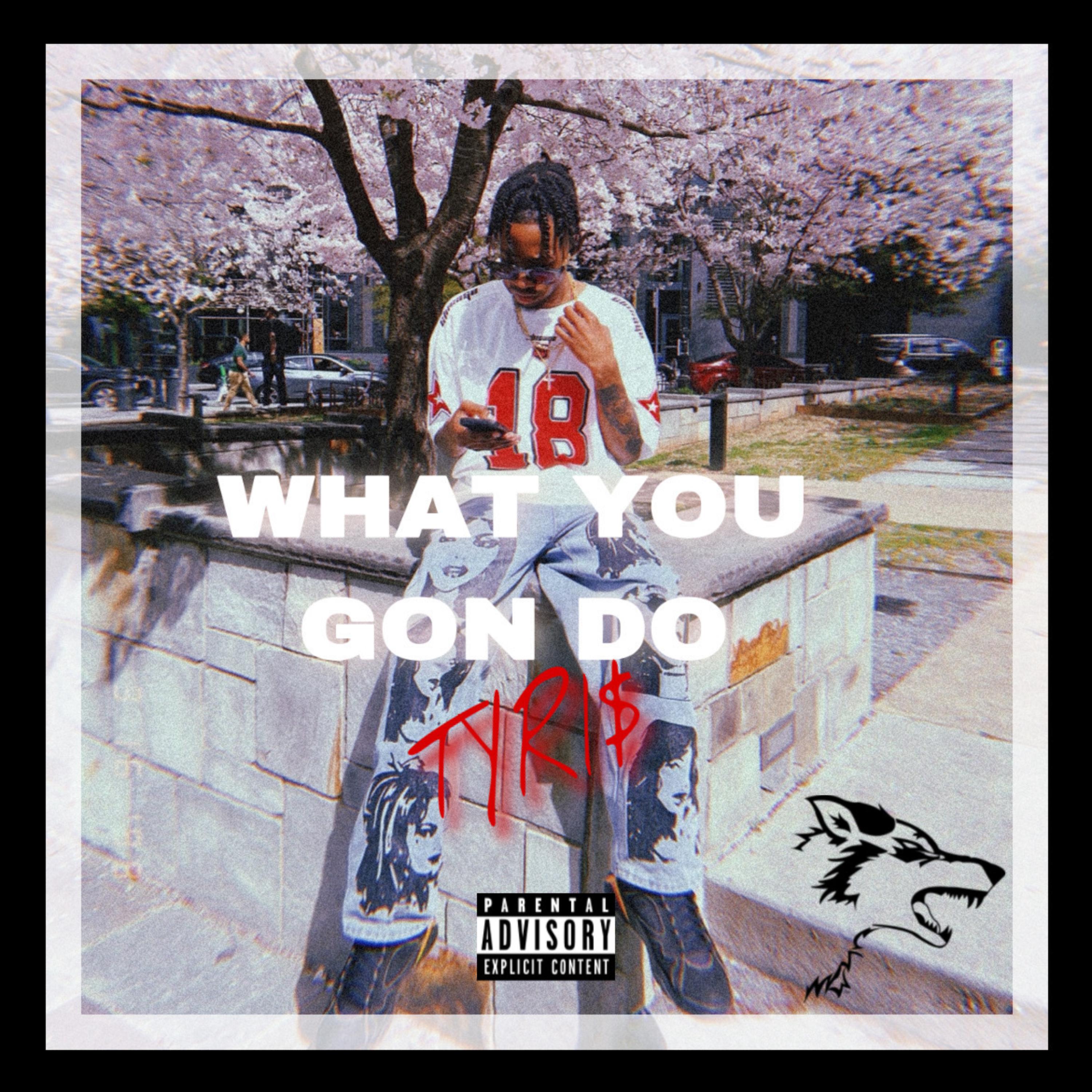 WHAT YOU GON DO? artwork