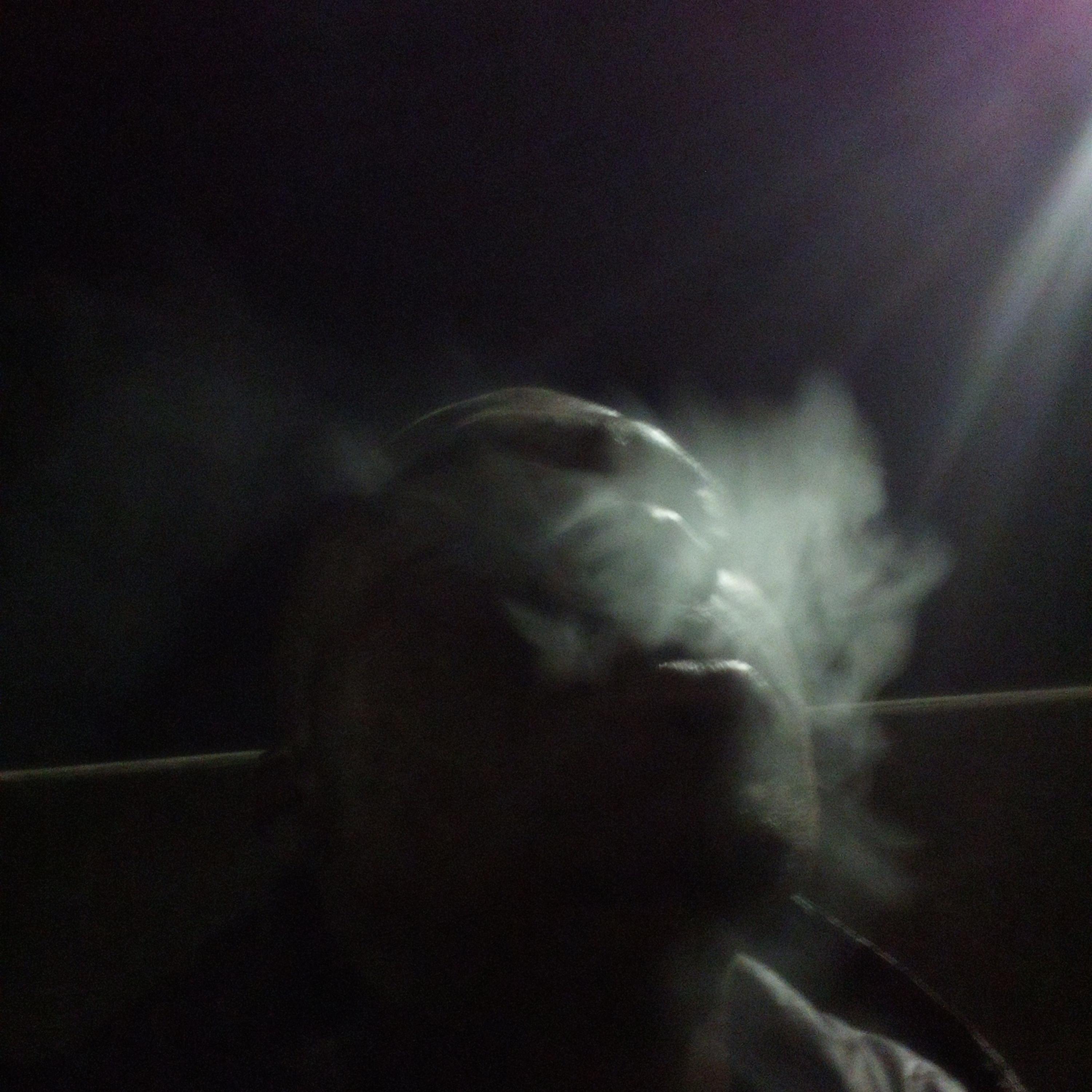 Silicone Seed Messiah artwork