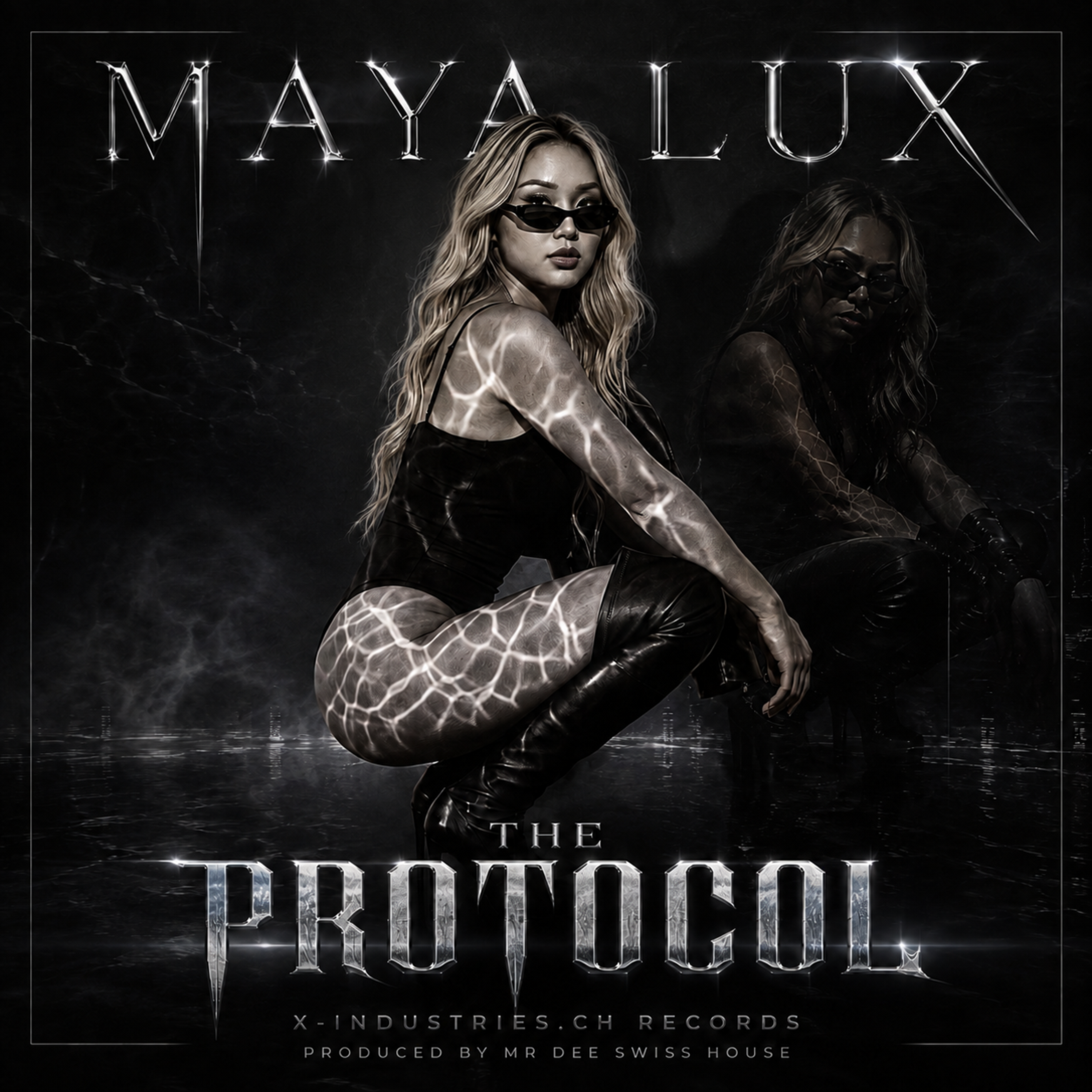The Protocol by Mr Dee Swiss House cover art