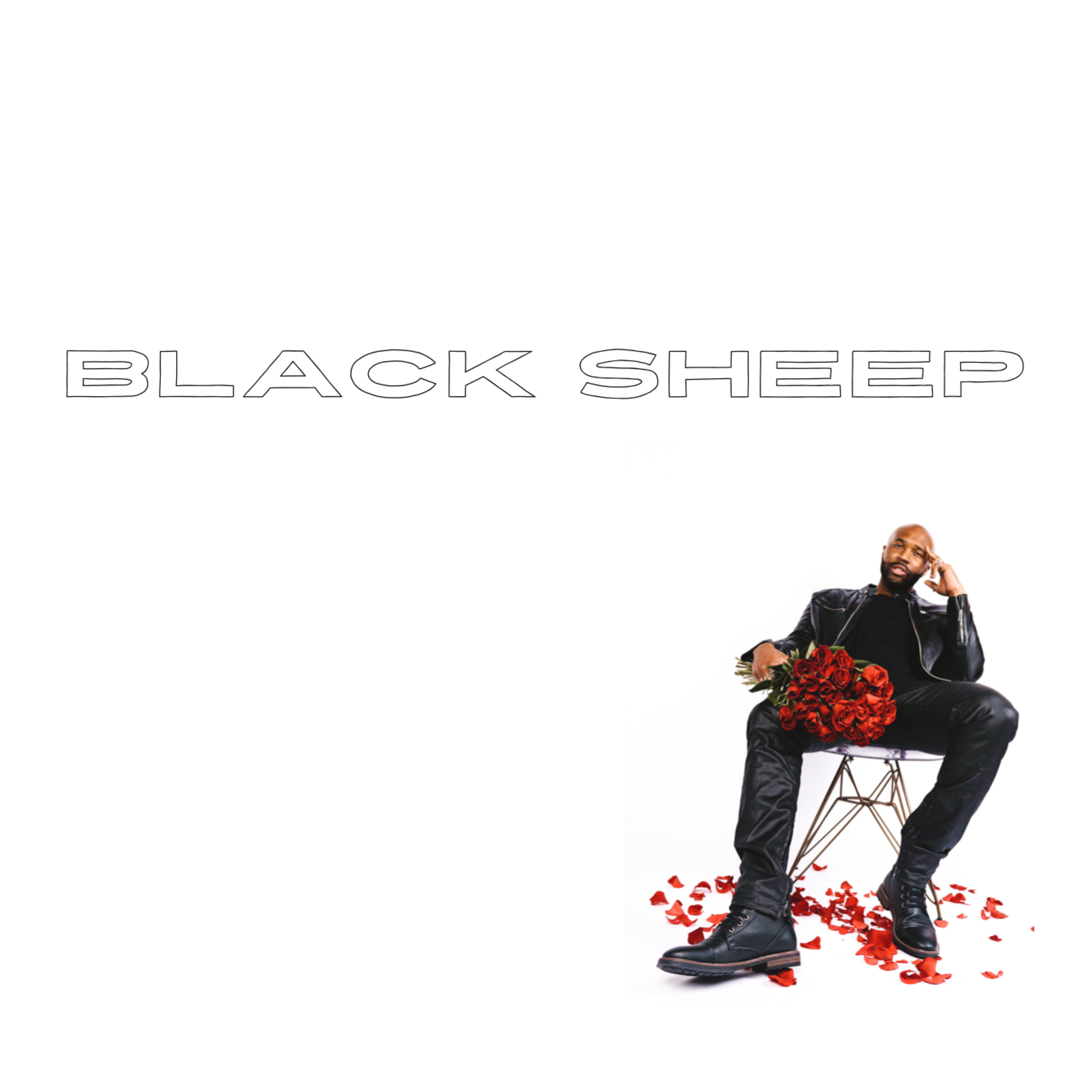 BLACK SHEEP artwork