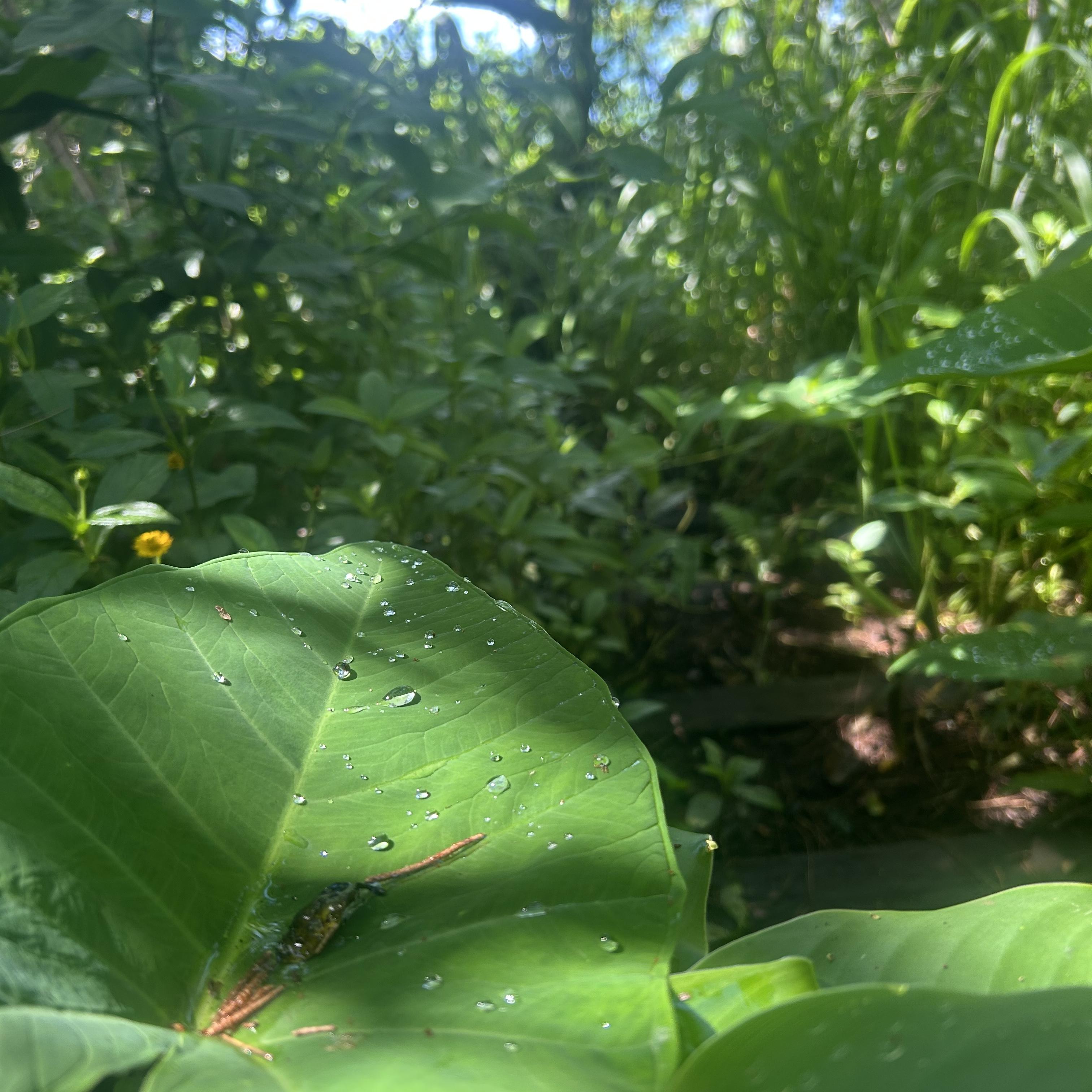 Talkin To Myself by Infurnos cover art