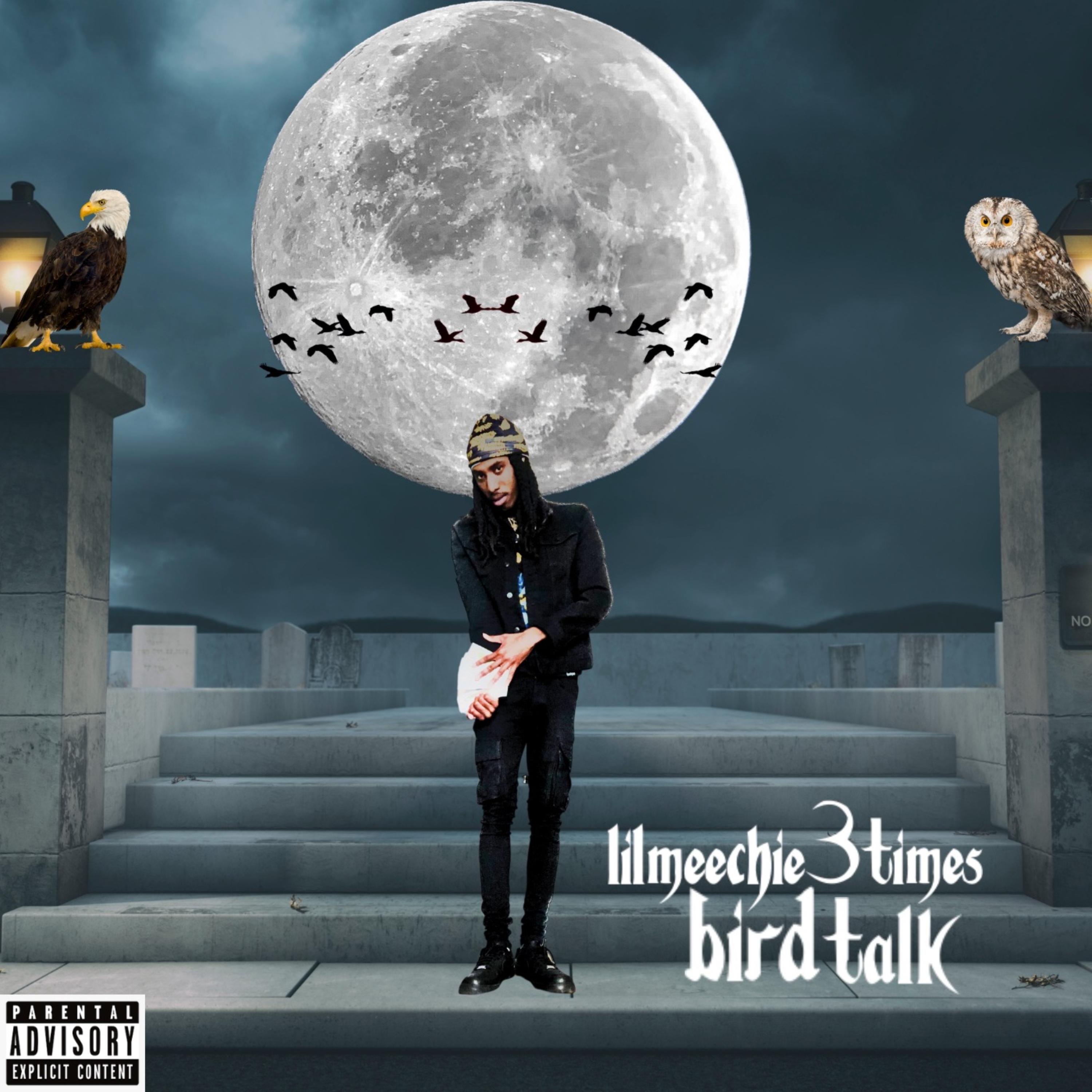 Bird Talk artwork