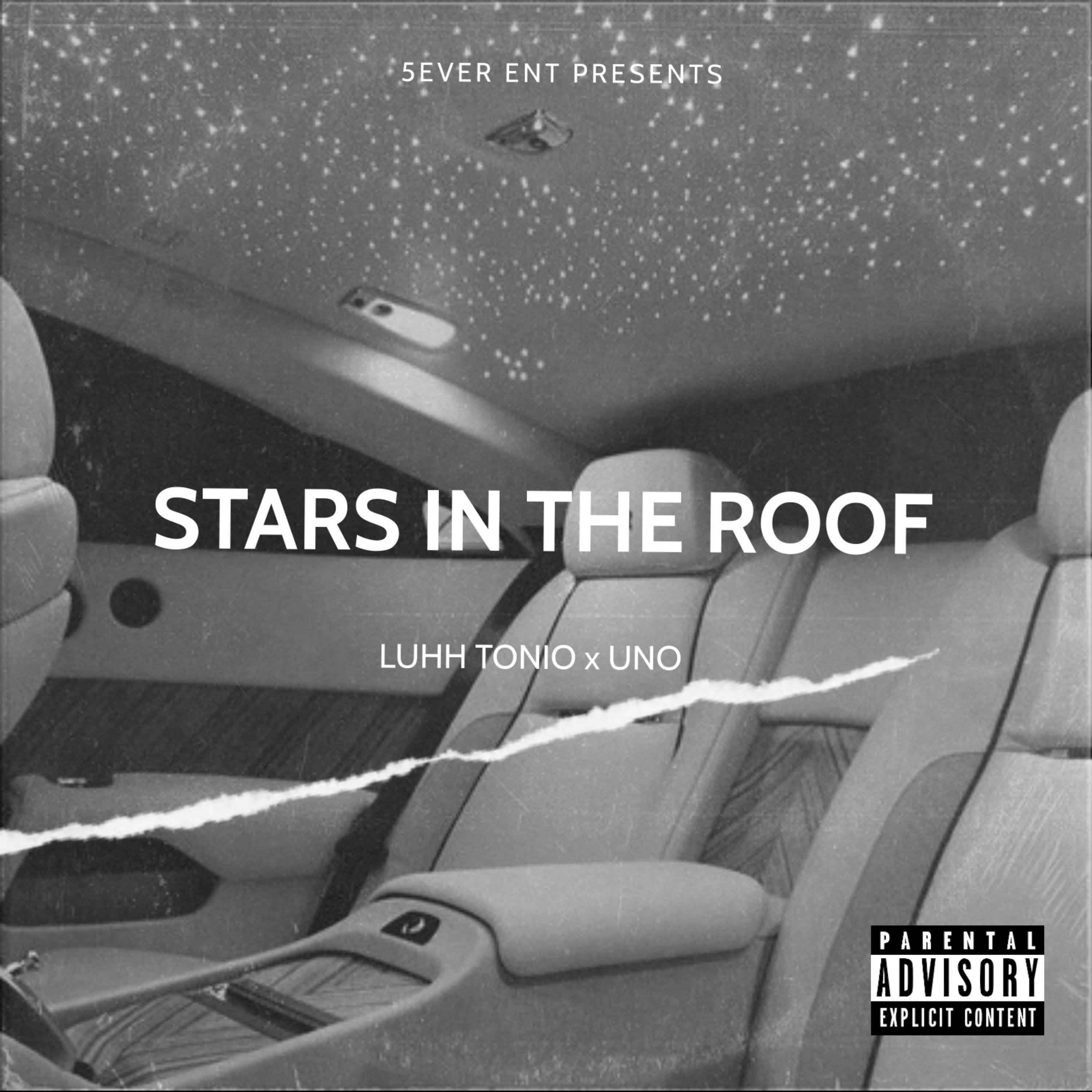 Stars In The Roof artwork
