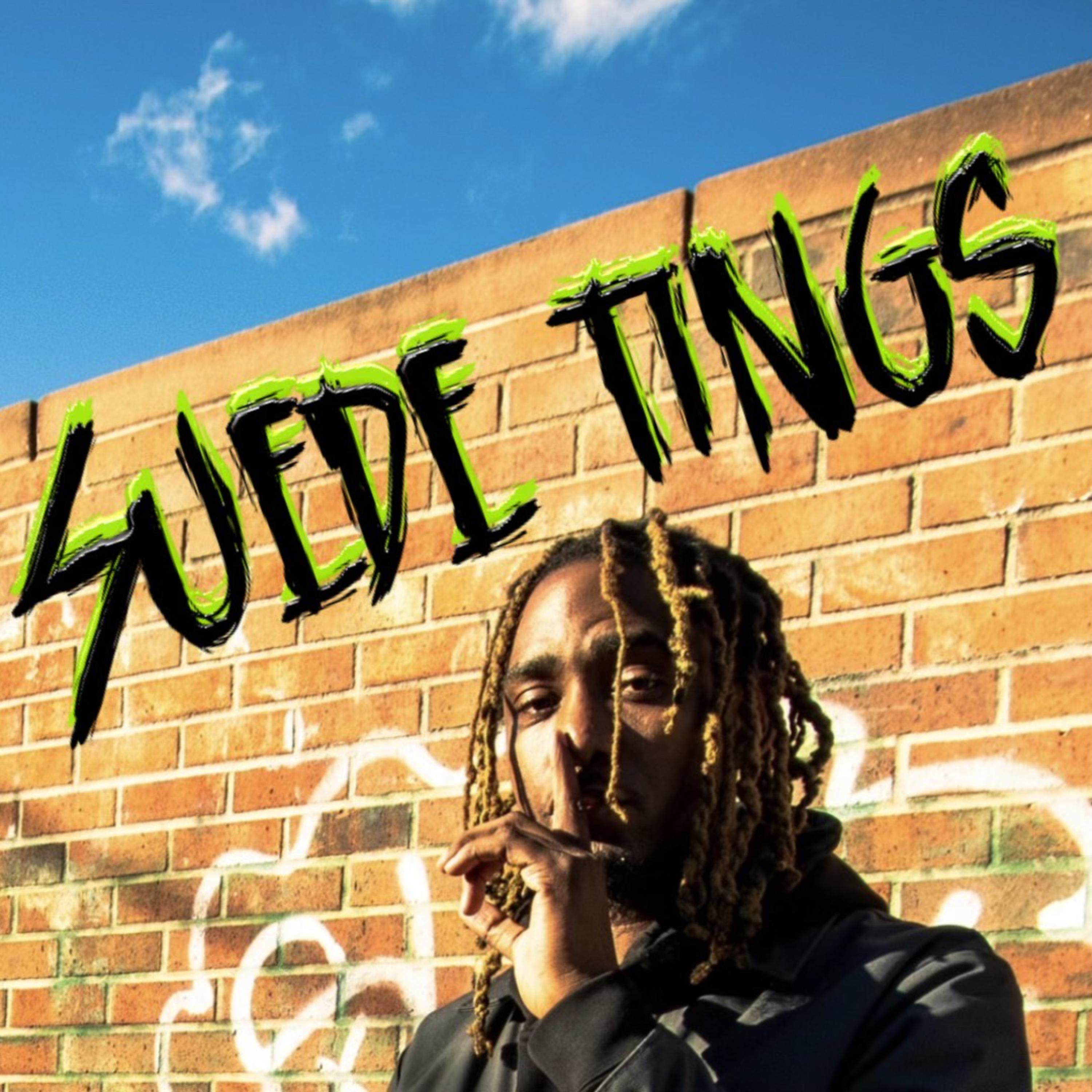 SUEDETINGS artwork