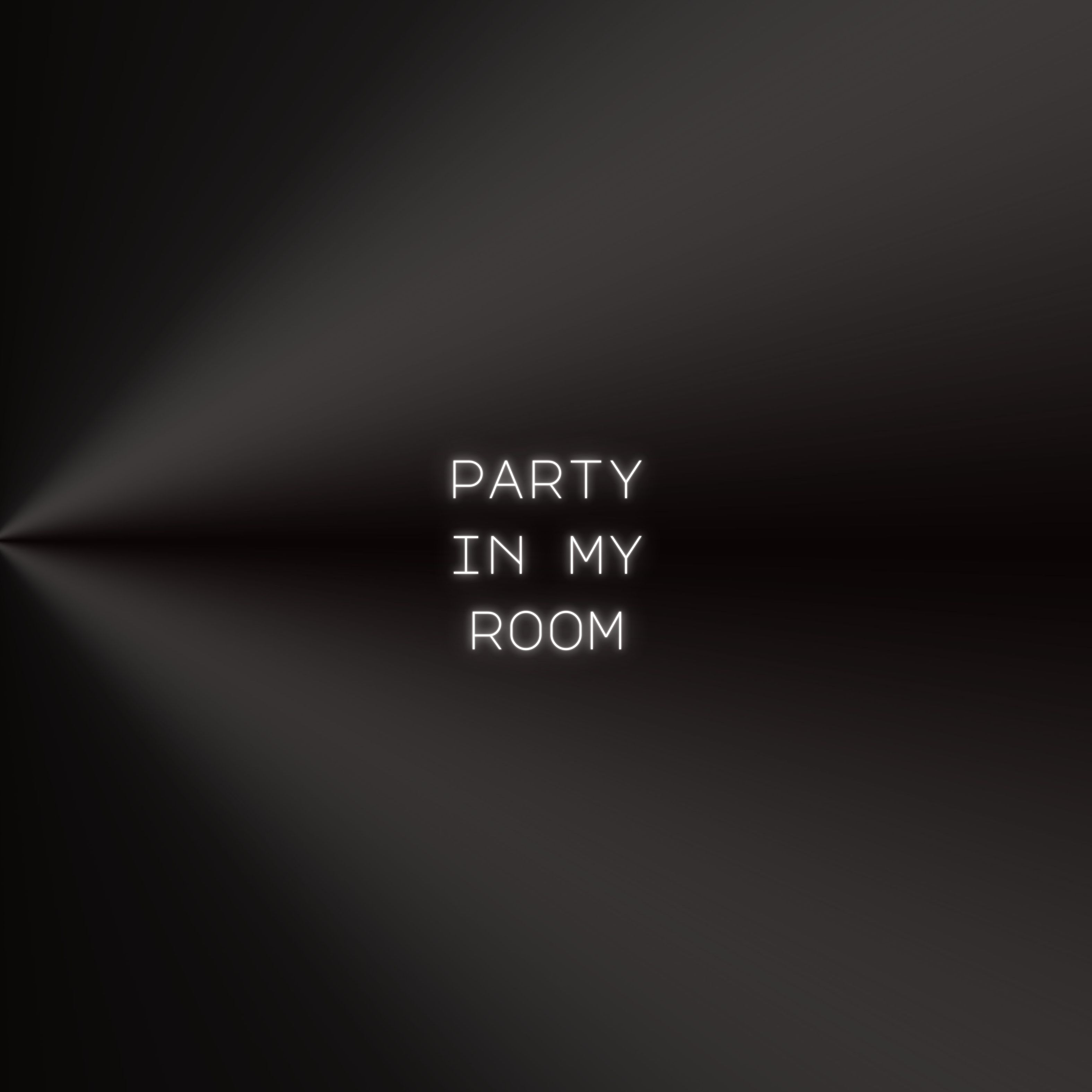 PARTY IN MY ROOM artwork