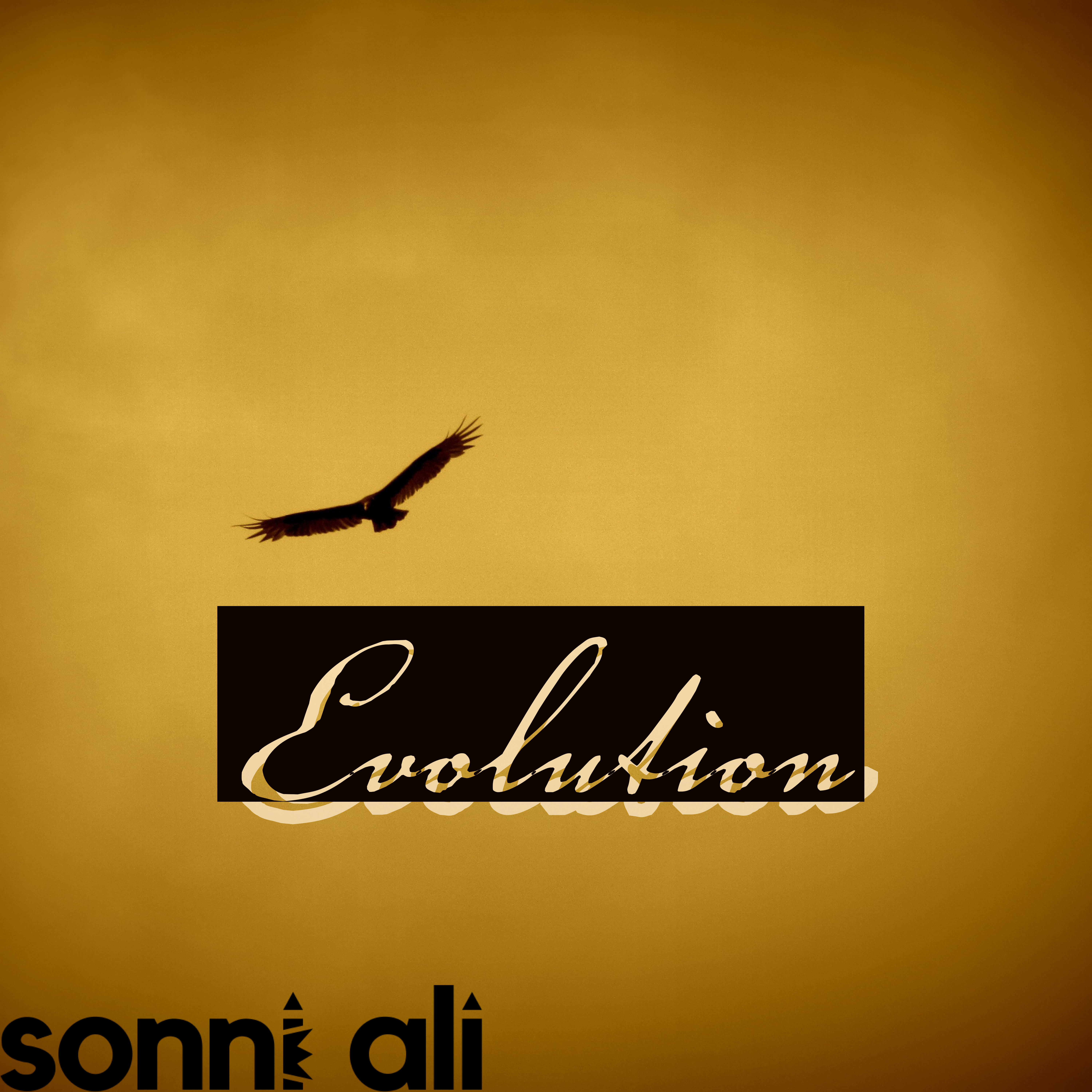 EVOLUTION by Sonni Ali cover art