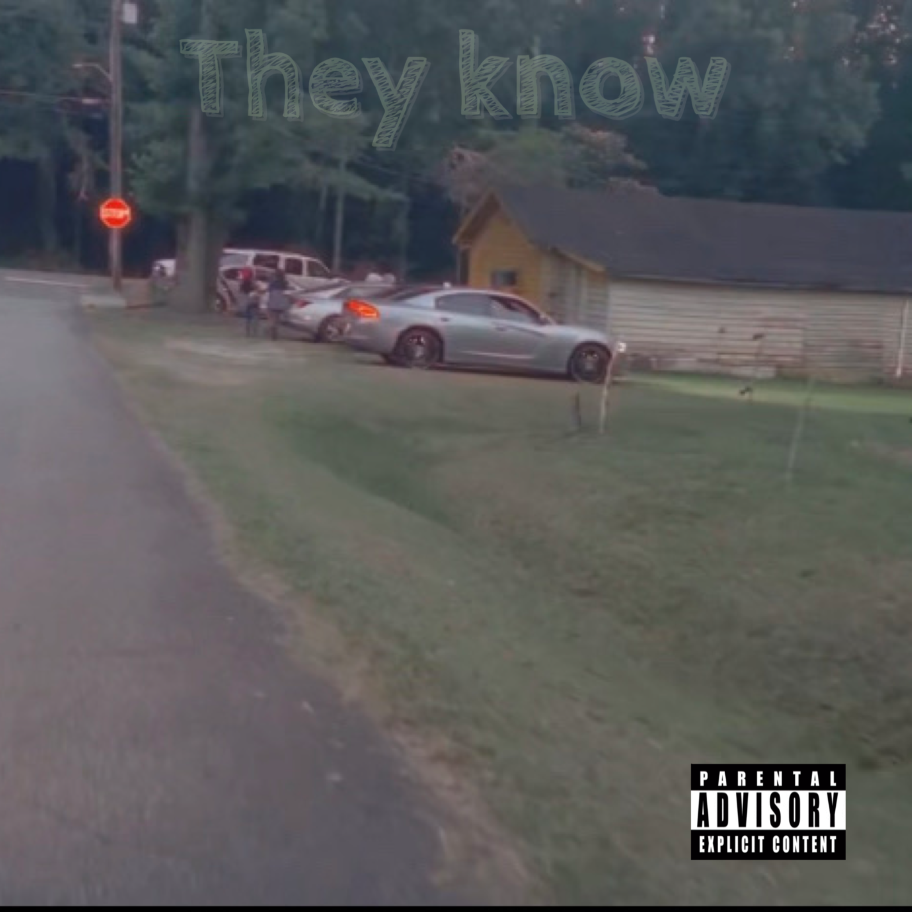 They Know artwork