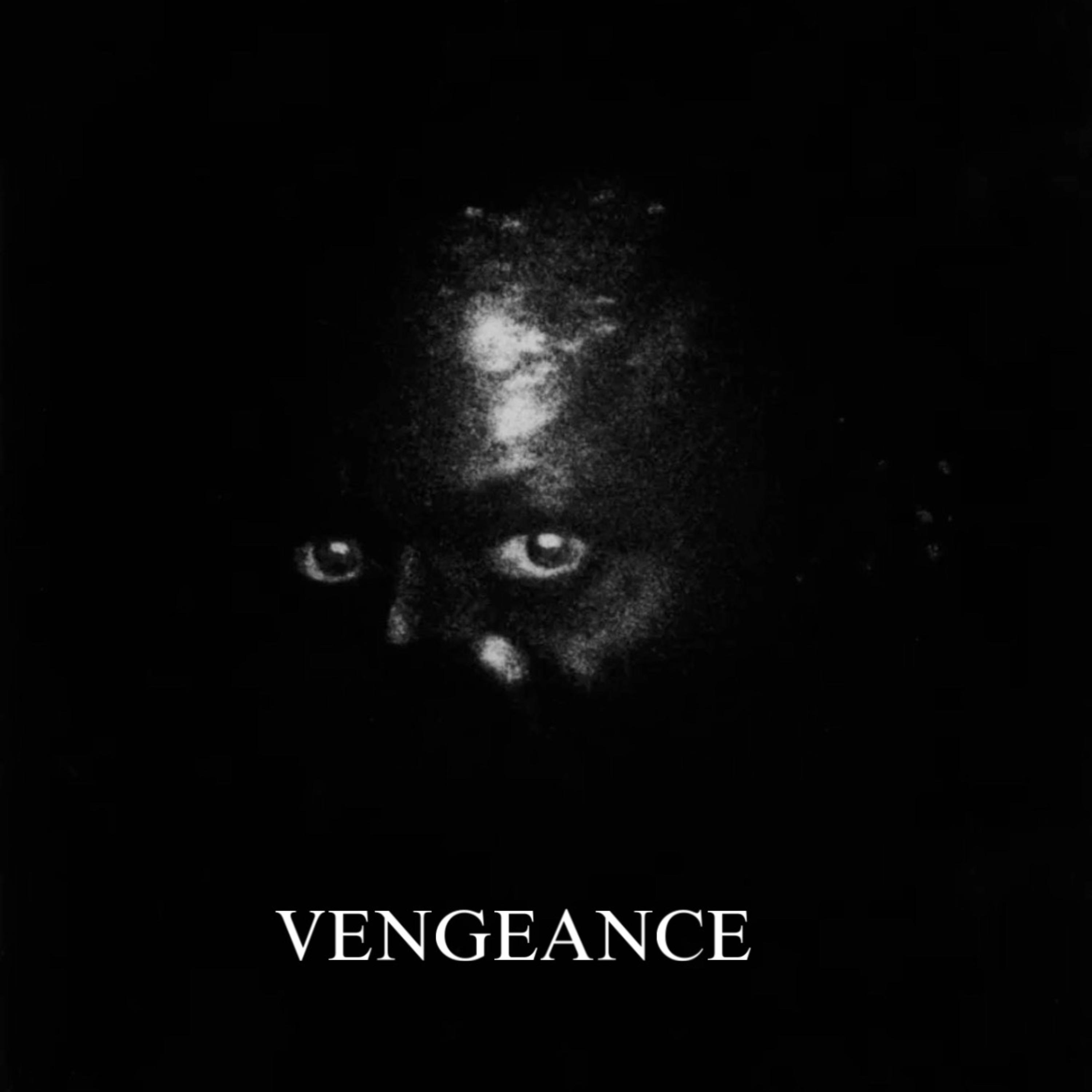 VENGEANCE artwork